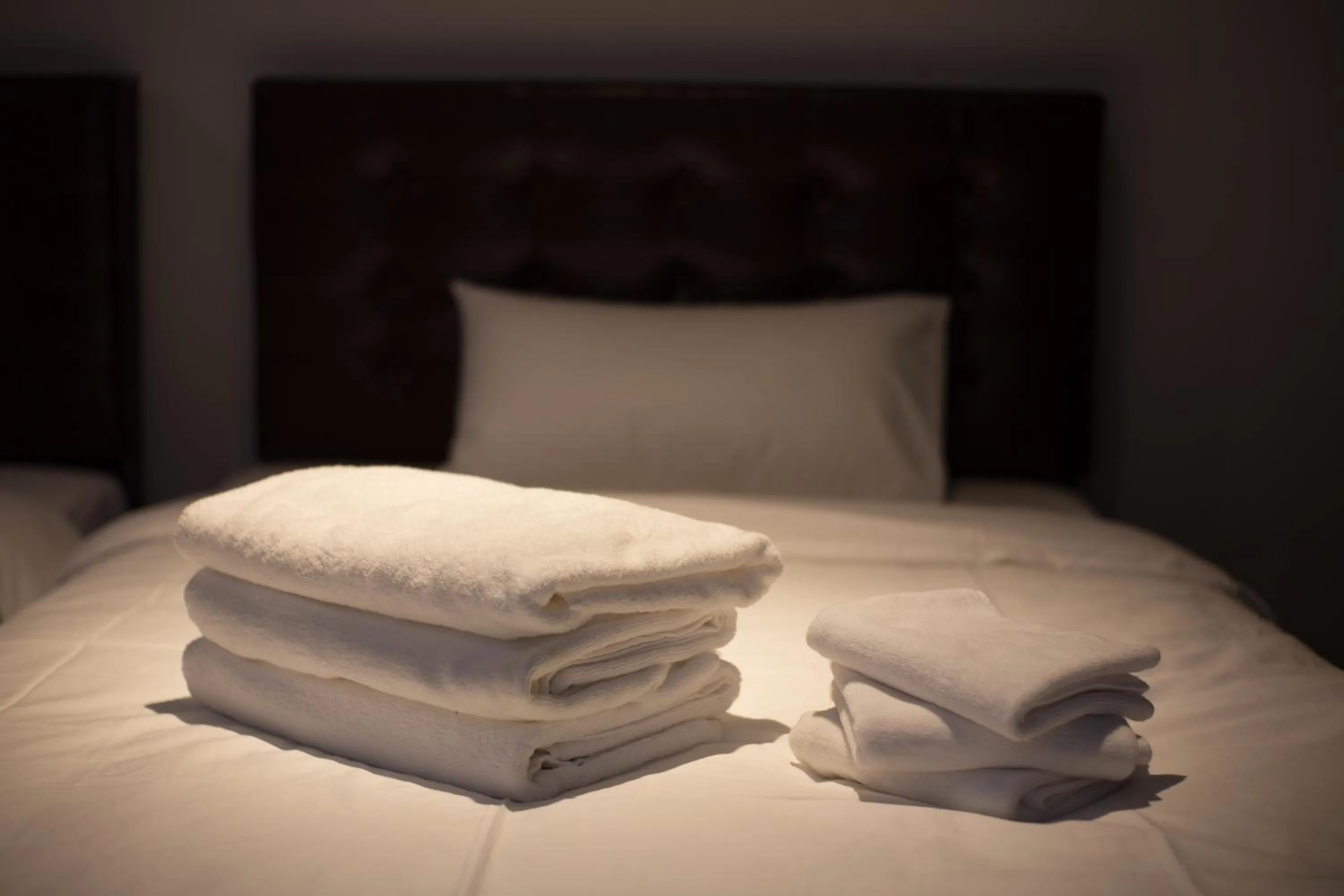 Bed in Hotel Kristal