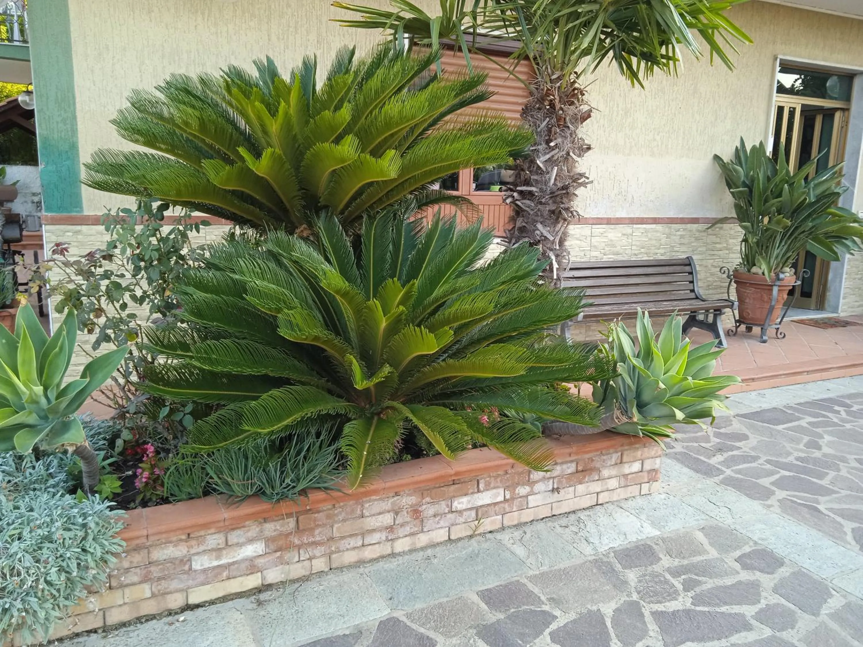 B&B La Porta Del Cilento