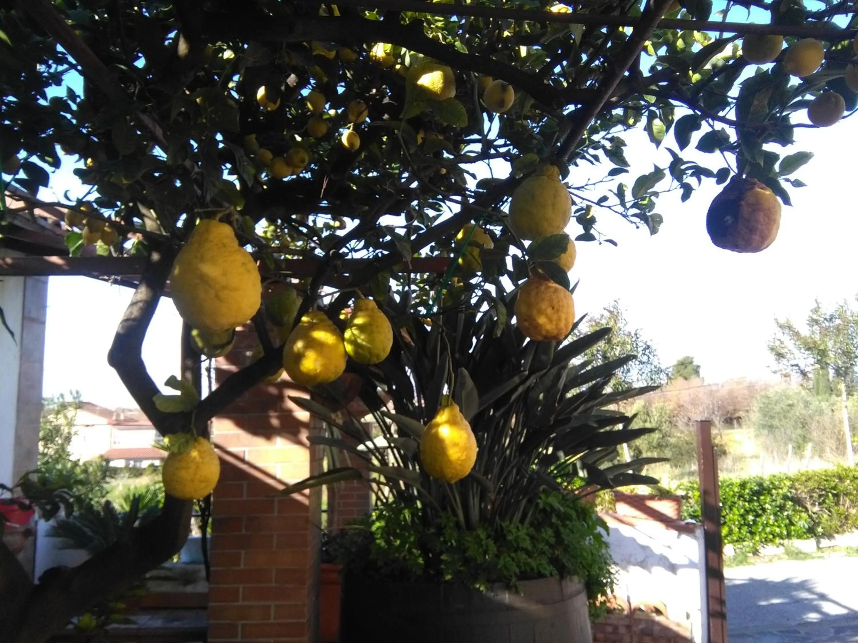 Property building in B&B La Porta Del Cilento