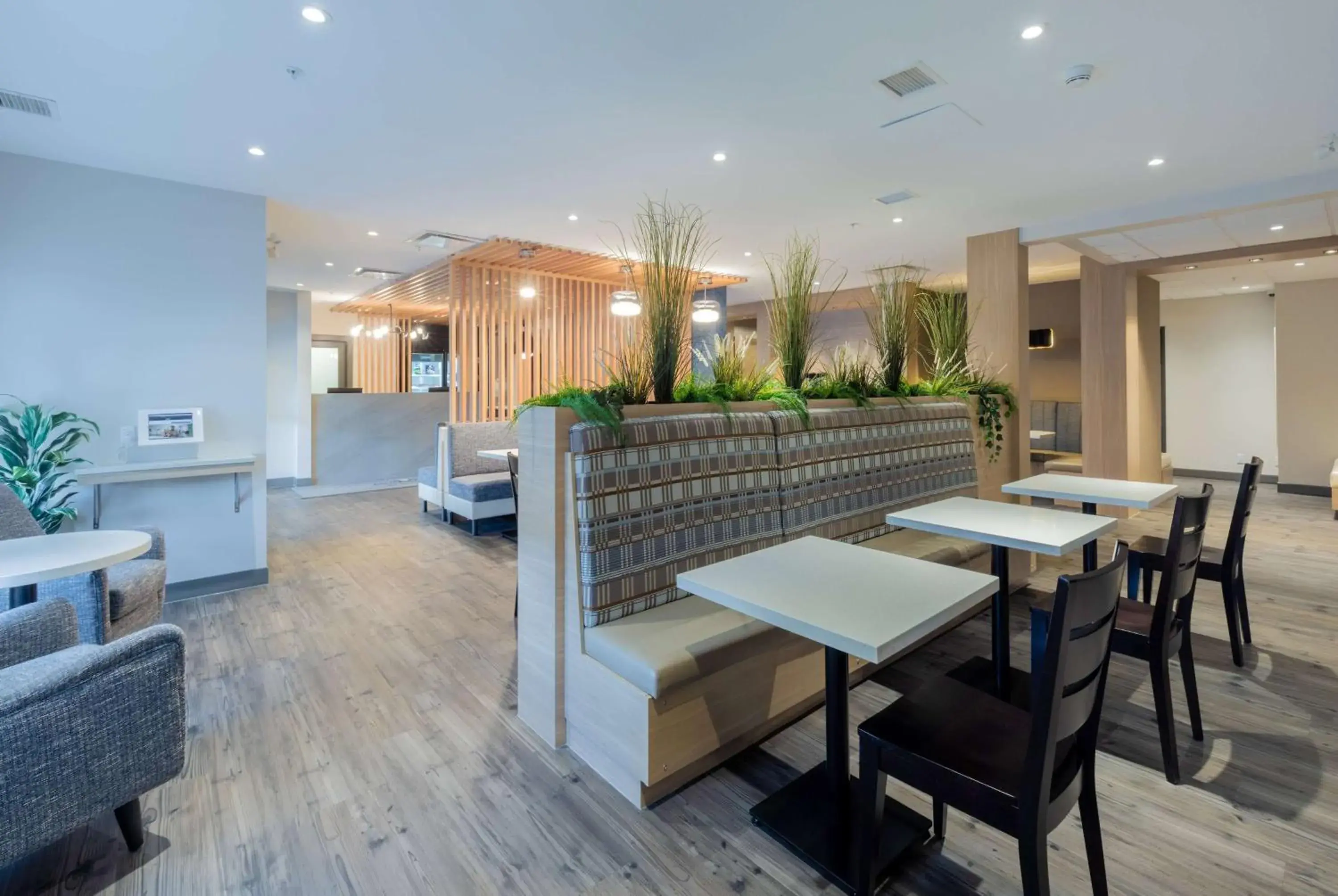 Restaurant/places to eat in Microtel Inn & Suites by Wyndham Oyster Bay Ladysmith Restaurant/places to eat in Microtel Inn & Suites by Wyndham Oyster Bay Ladysmith