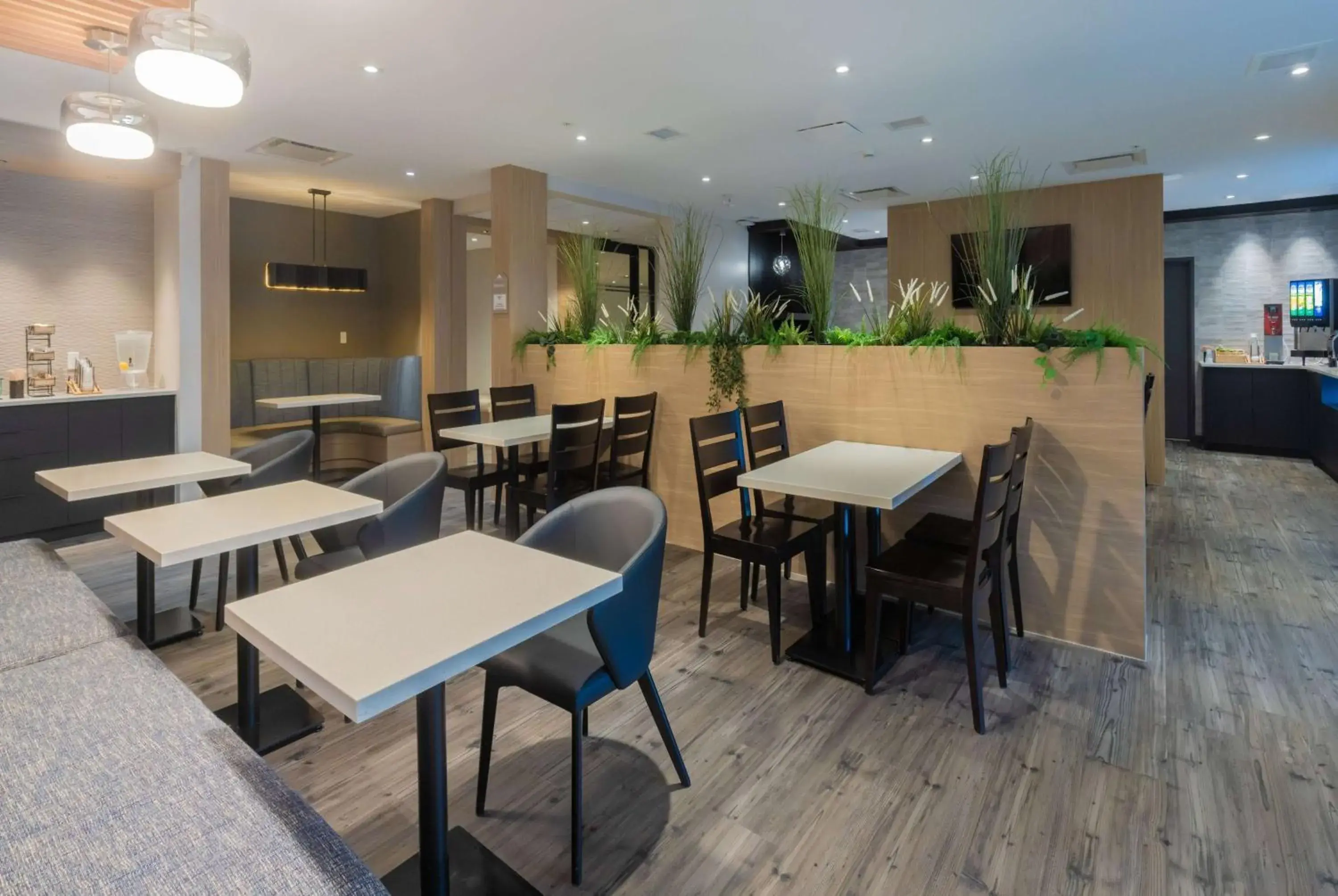 Restaurant/places to eat in Microtel Inn & Suites by Wyndham Oyster Bay Ladysmith Restaurant/places to eat in Microtel Inn & Suites by Wyndham Oyster Bay Ladysmith