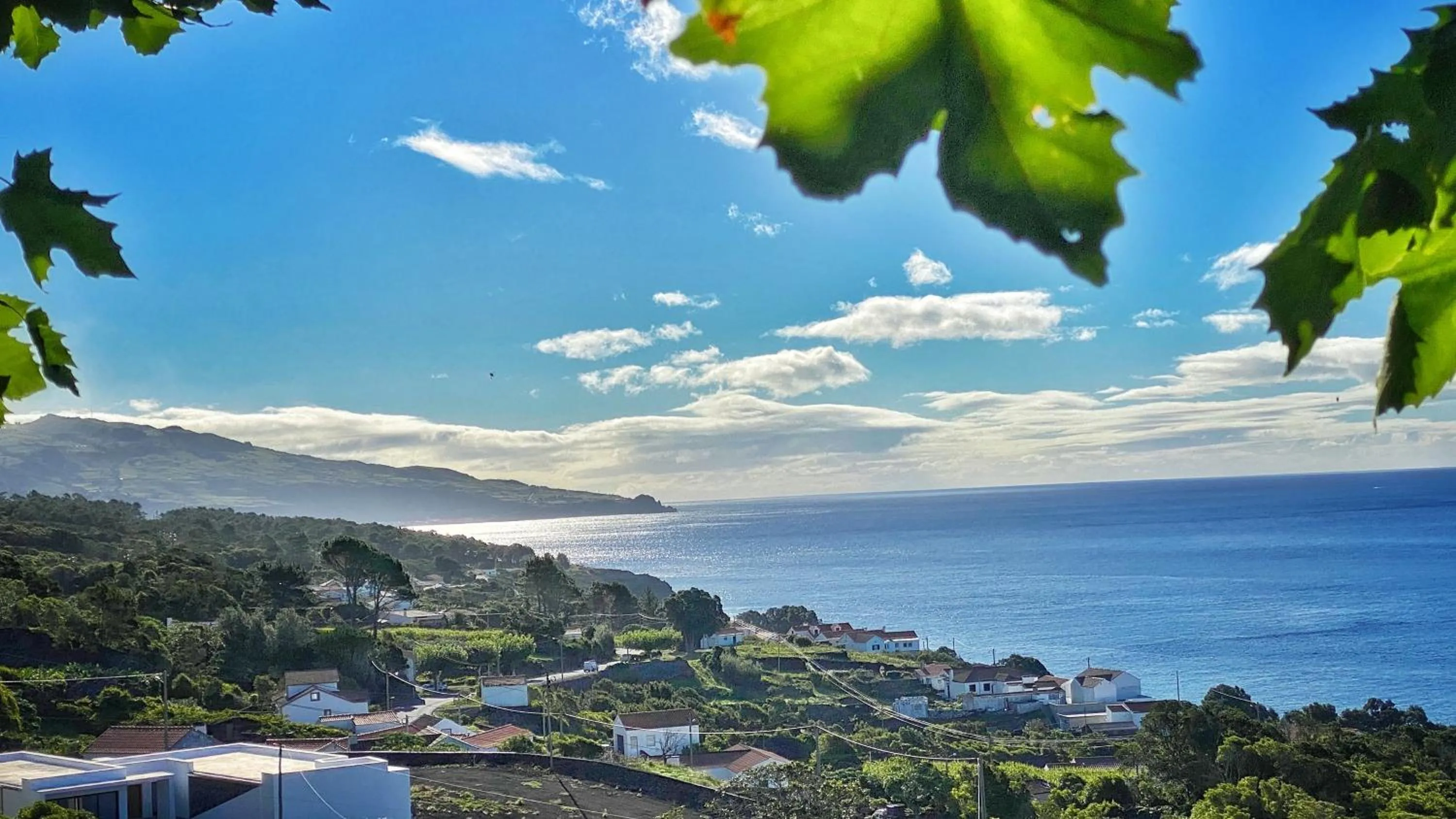 View (from property/room) in Miradouro da Papalva Guest House - Pico - Azores