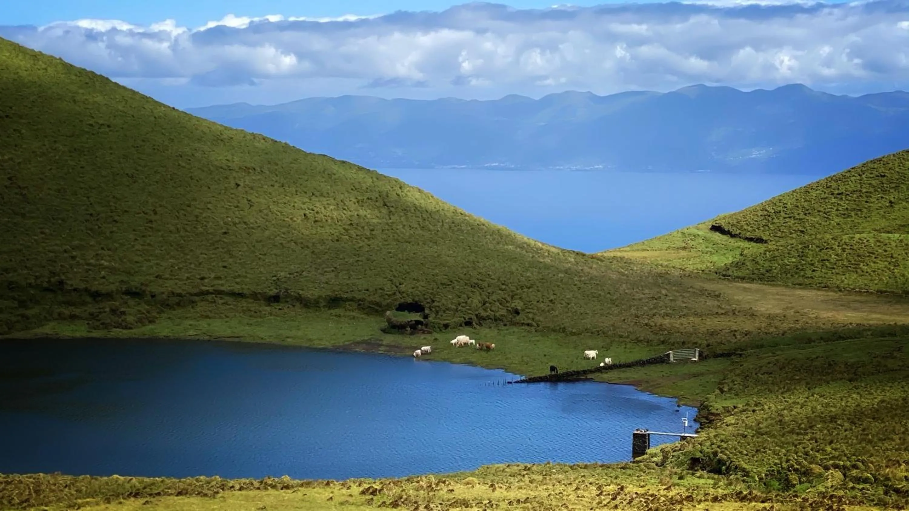 Natural landscape in Miradouro da Papalva Guest House - Pico - Azores