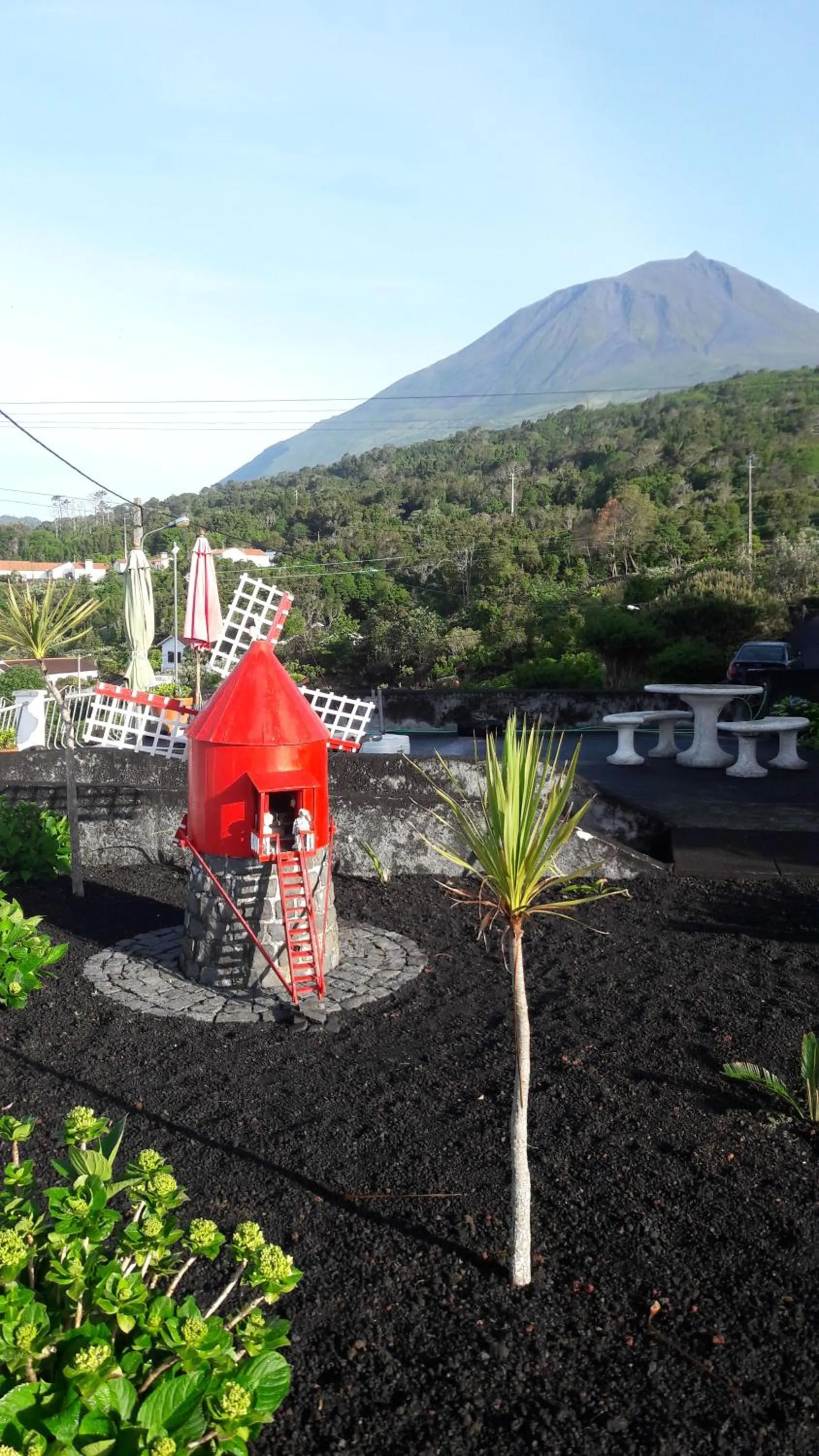 Garden in Miradouro da Papalva Guest House - Pico - Azores