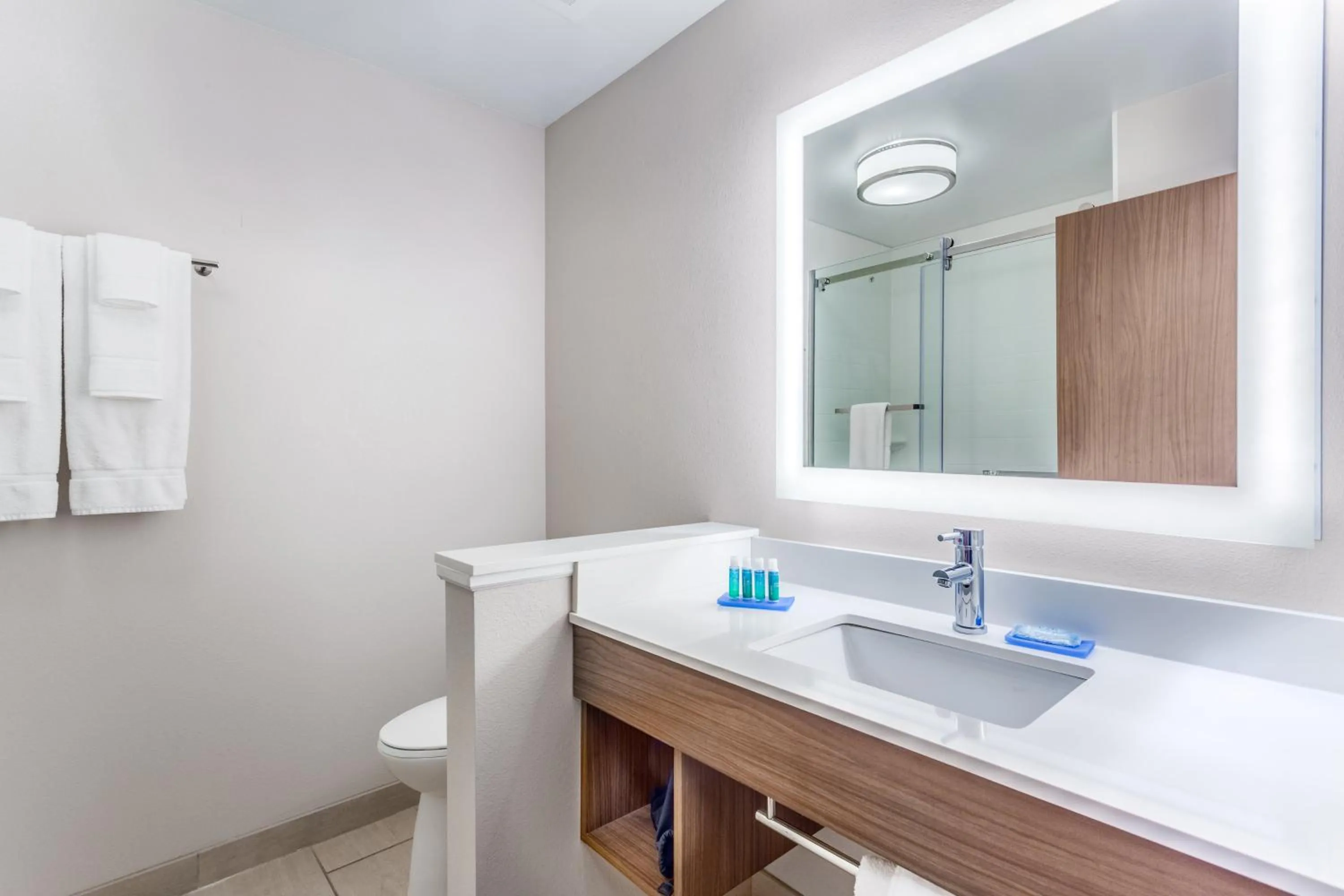 Bathroom in Holiday Inn Express & Suites Hammond by IHG