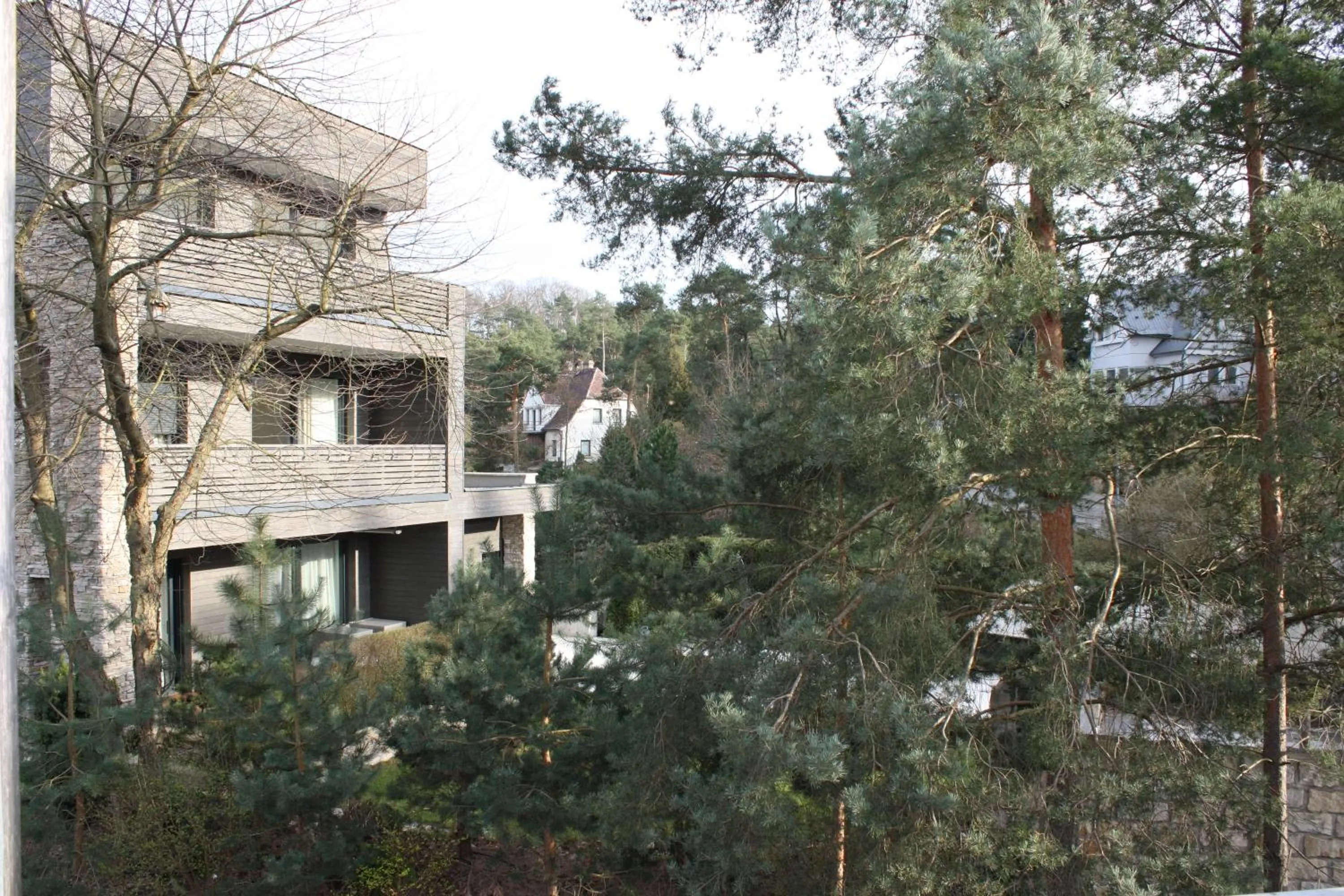 Garden view in Lakepark Residence
