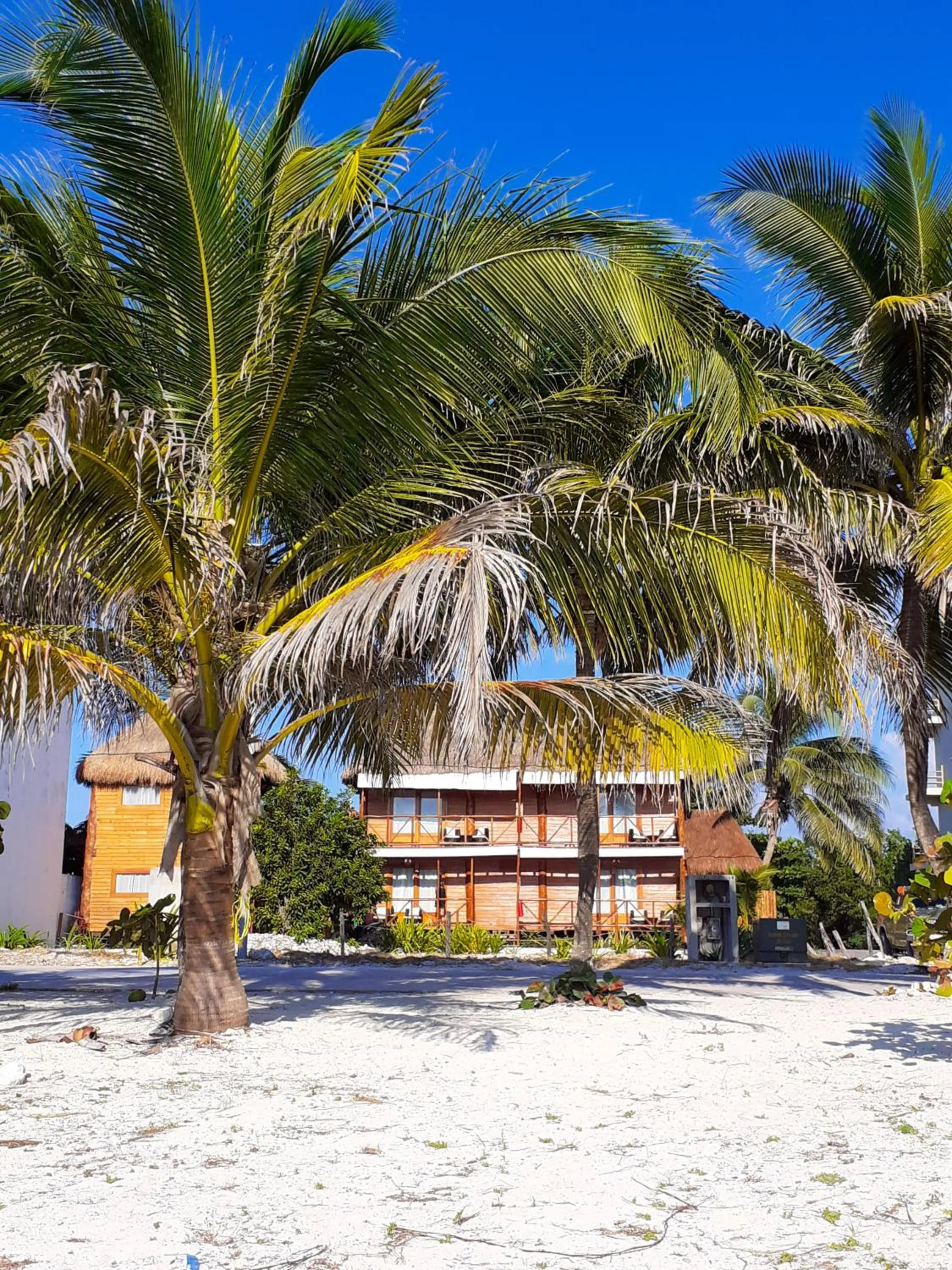 Property building in Palmeras de Mahahual Cabañas