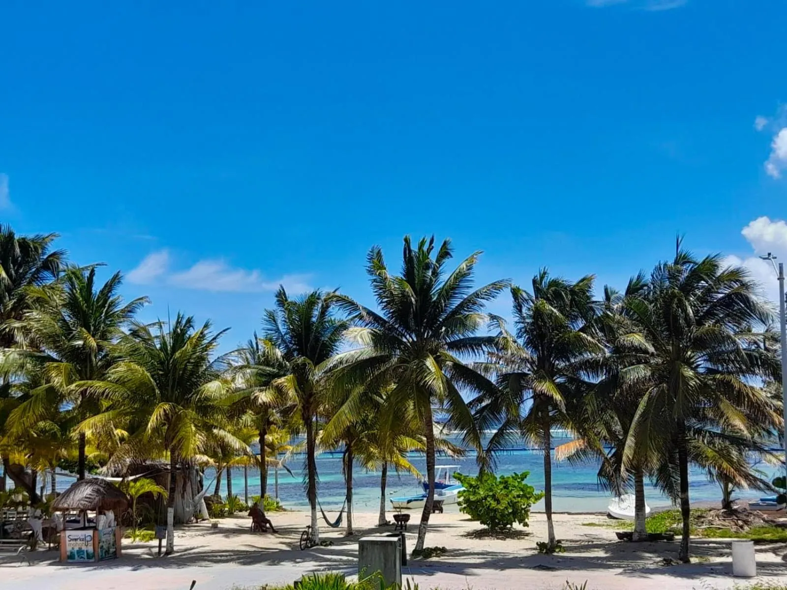 Natural landscape in Palmeras de Mahahual Cabañas
