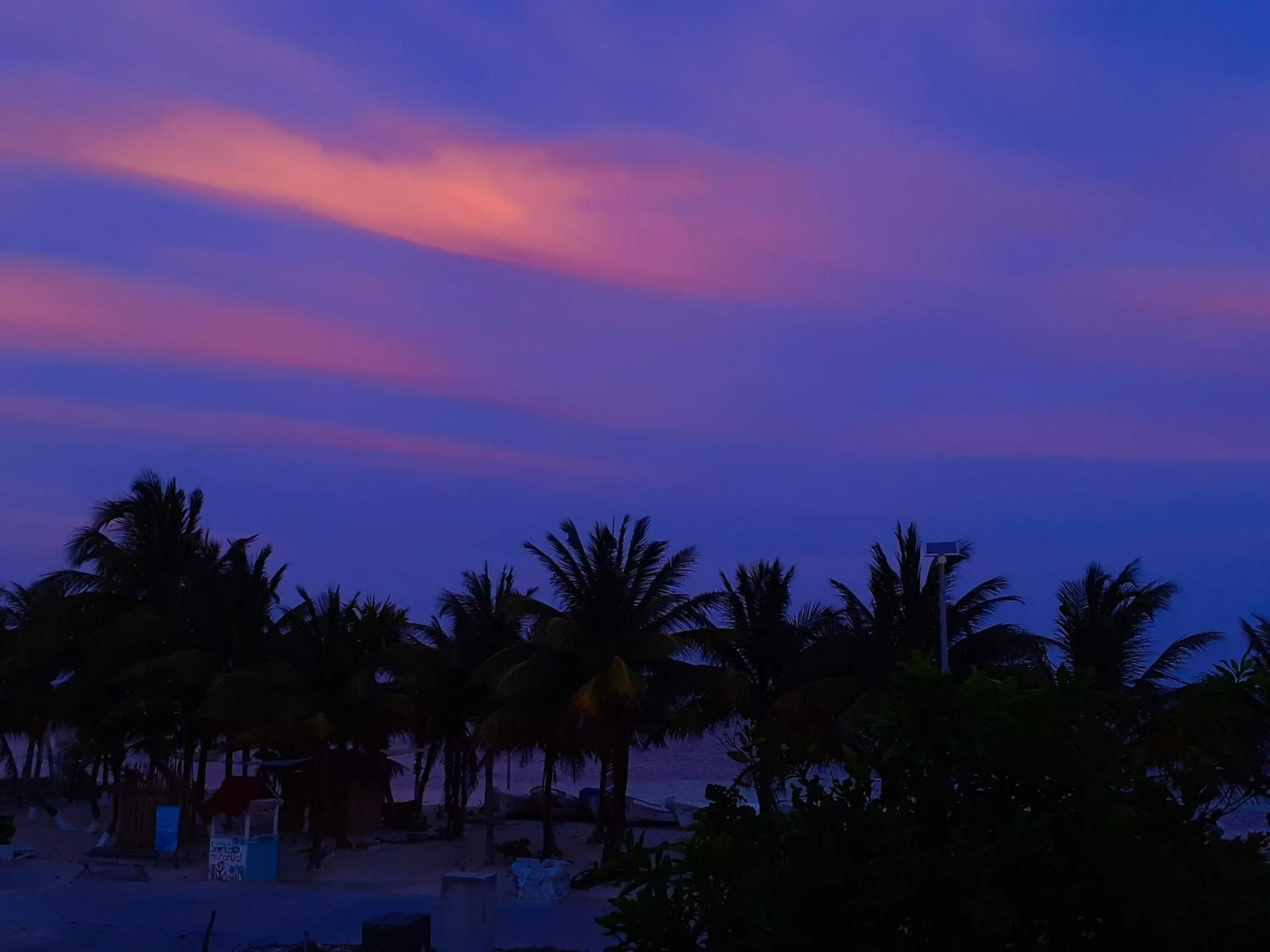 Natural landscape in Palmeras de Mahahual Cabañas