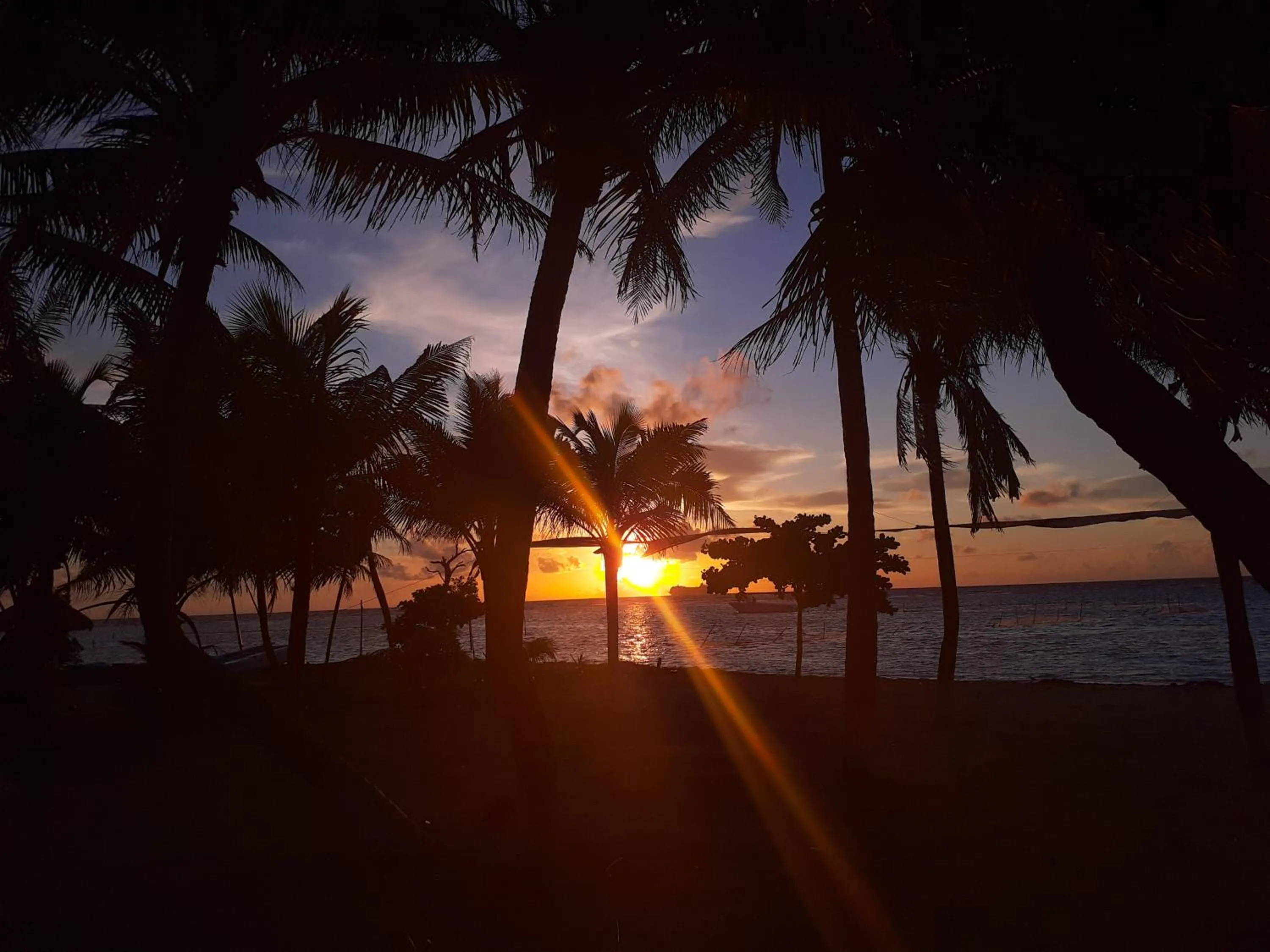 Natural landscape in Palmeras de Mahahual Cabañas