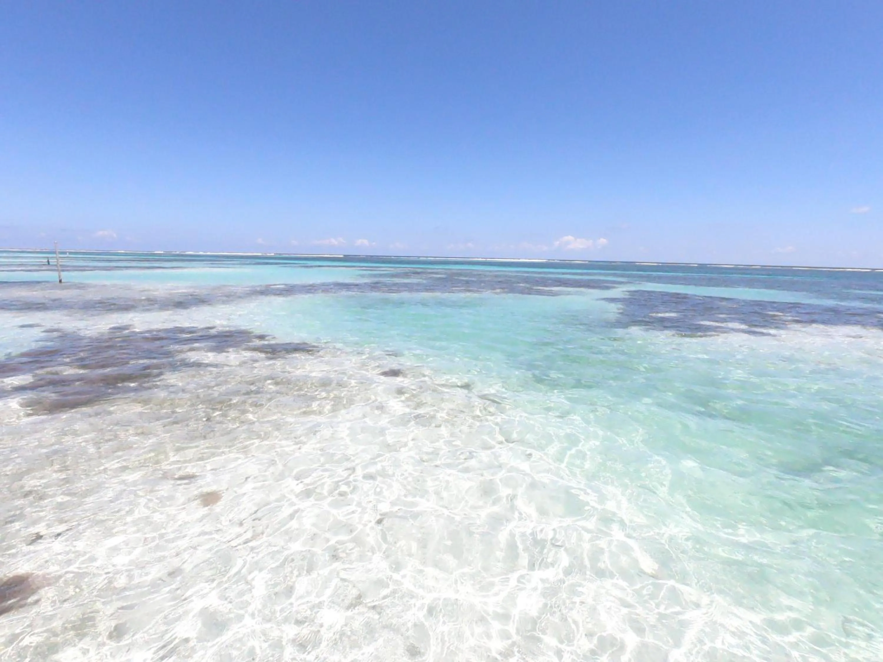Natural landscape in Palmeras de Mahahual Cabañas