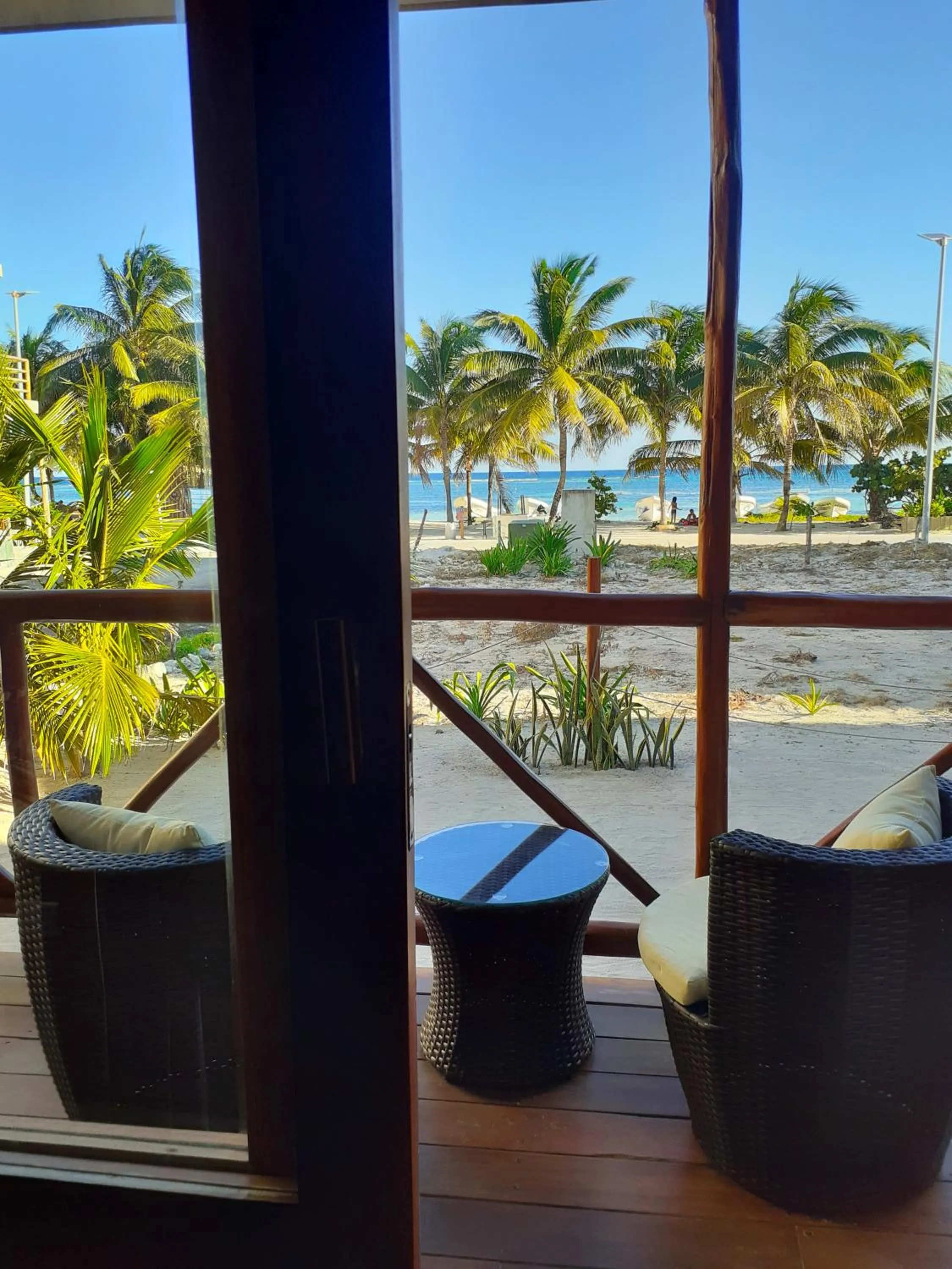 Natural landscape in Palmeras de Mahahual Cabañas