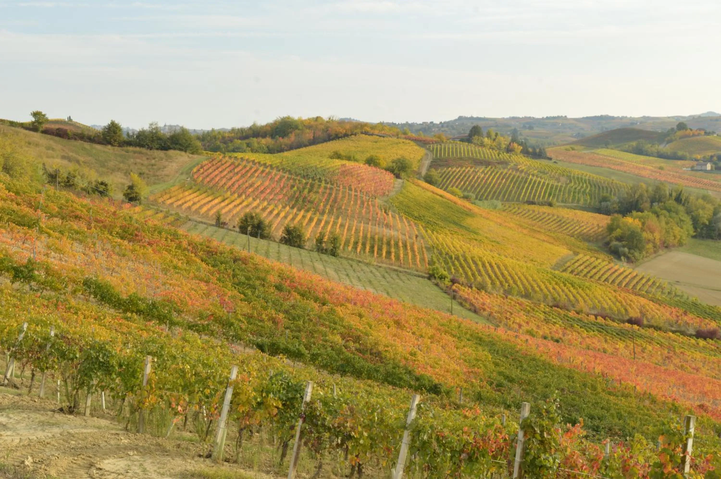 Natural landscape in Bed & Tours Dimora di campagna