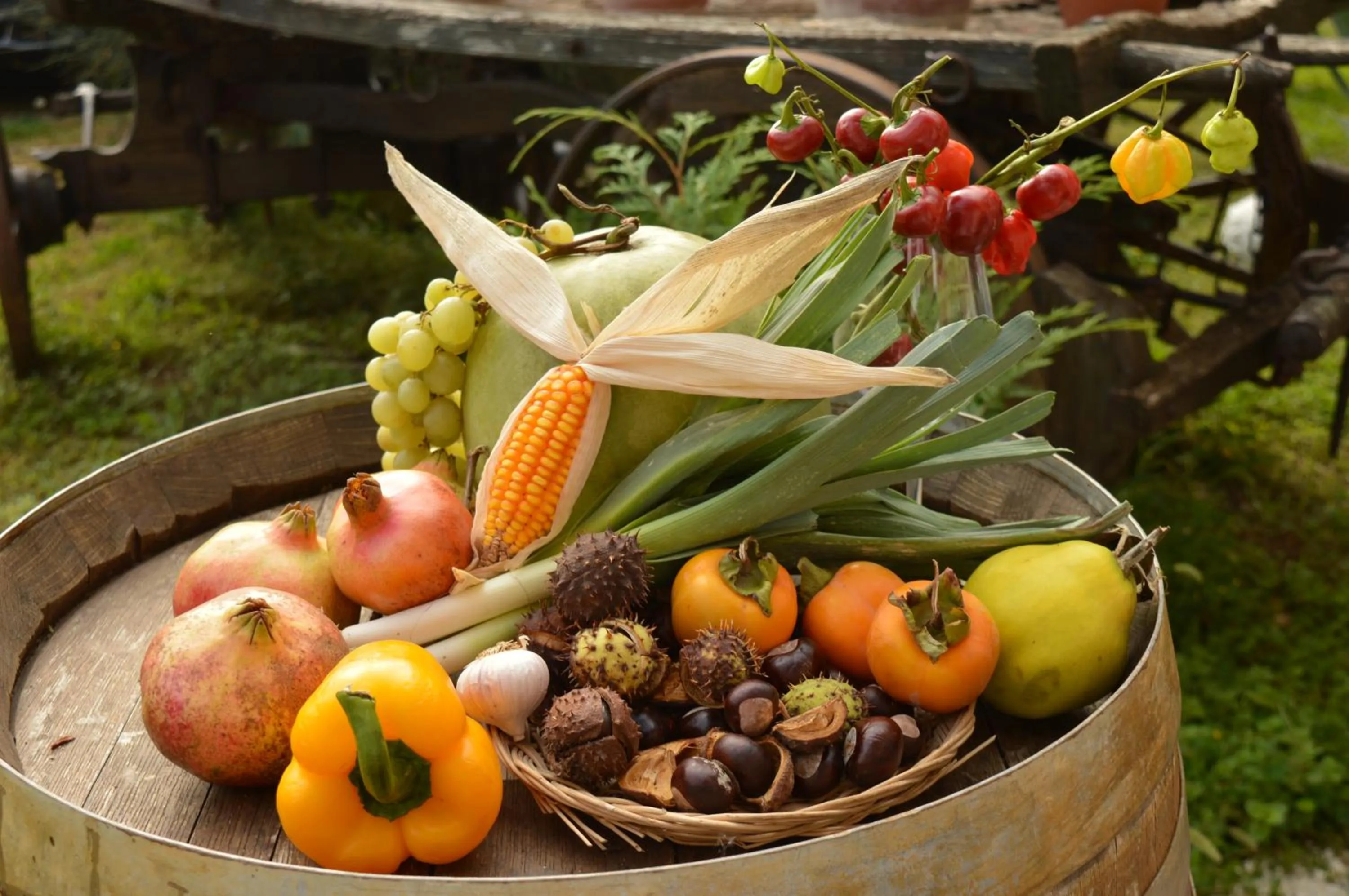 Autumn in Bed & Tours Dimora di campagna