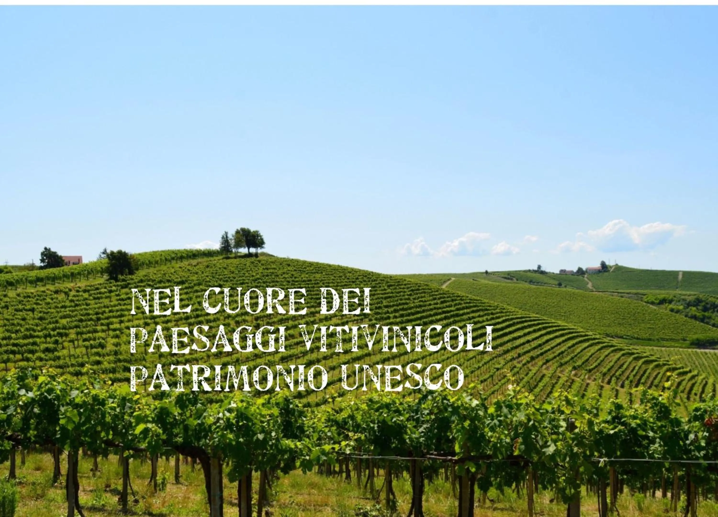 Natural landscape in Bed & Tours Dimora di campagna