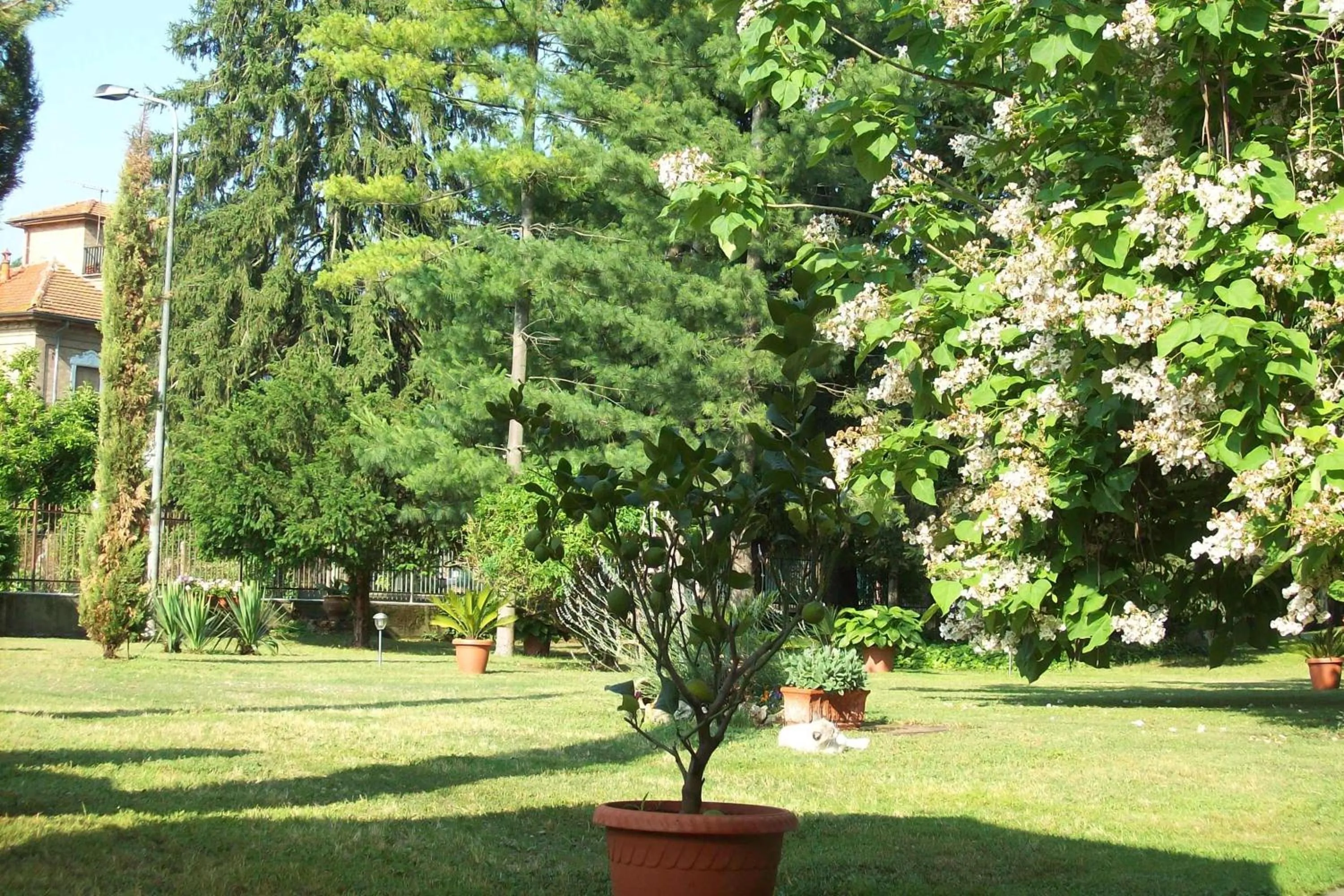 Garden in Bed & Tours Dimora di campagna