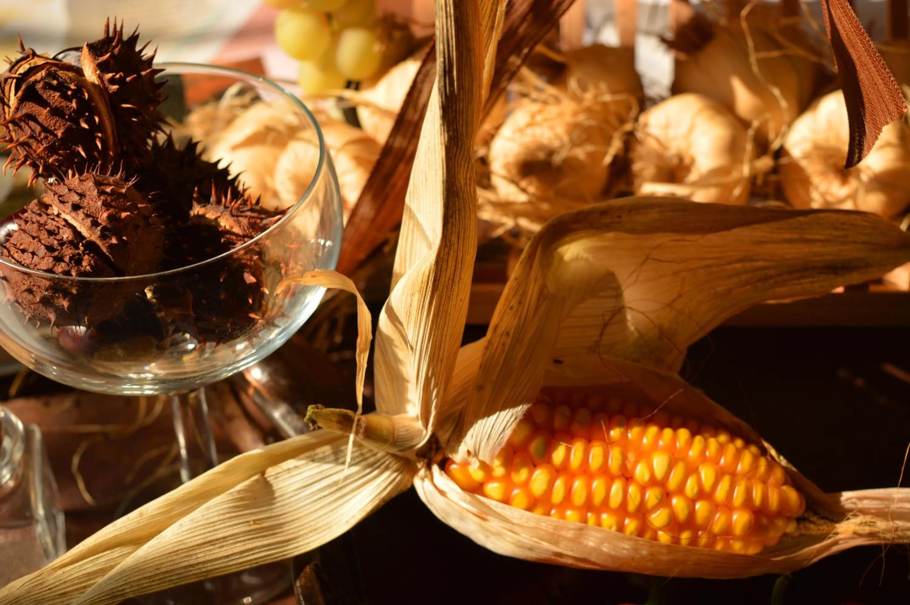 Autumn in Bed & Tours Dimora di campagna