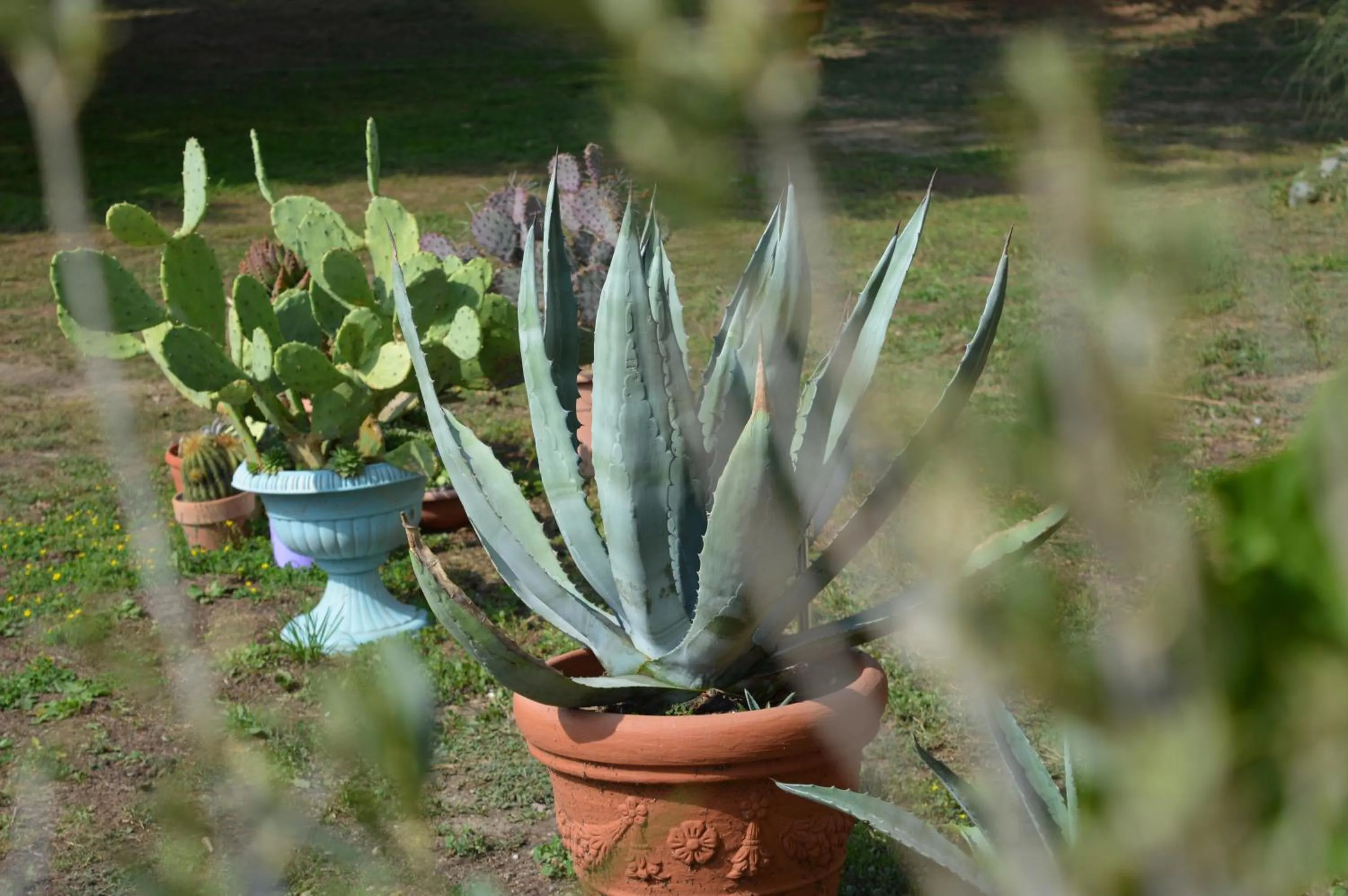 Garden in Bed & Tours Dimora di campagna