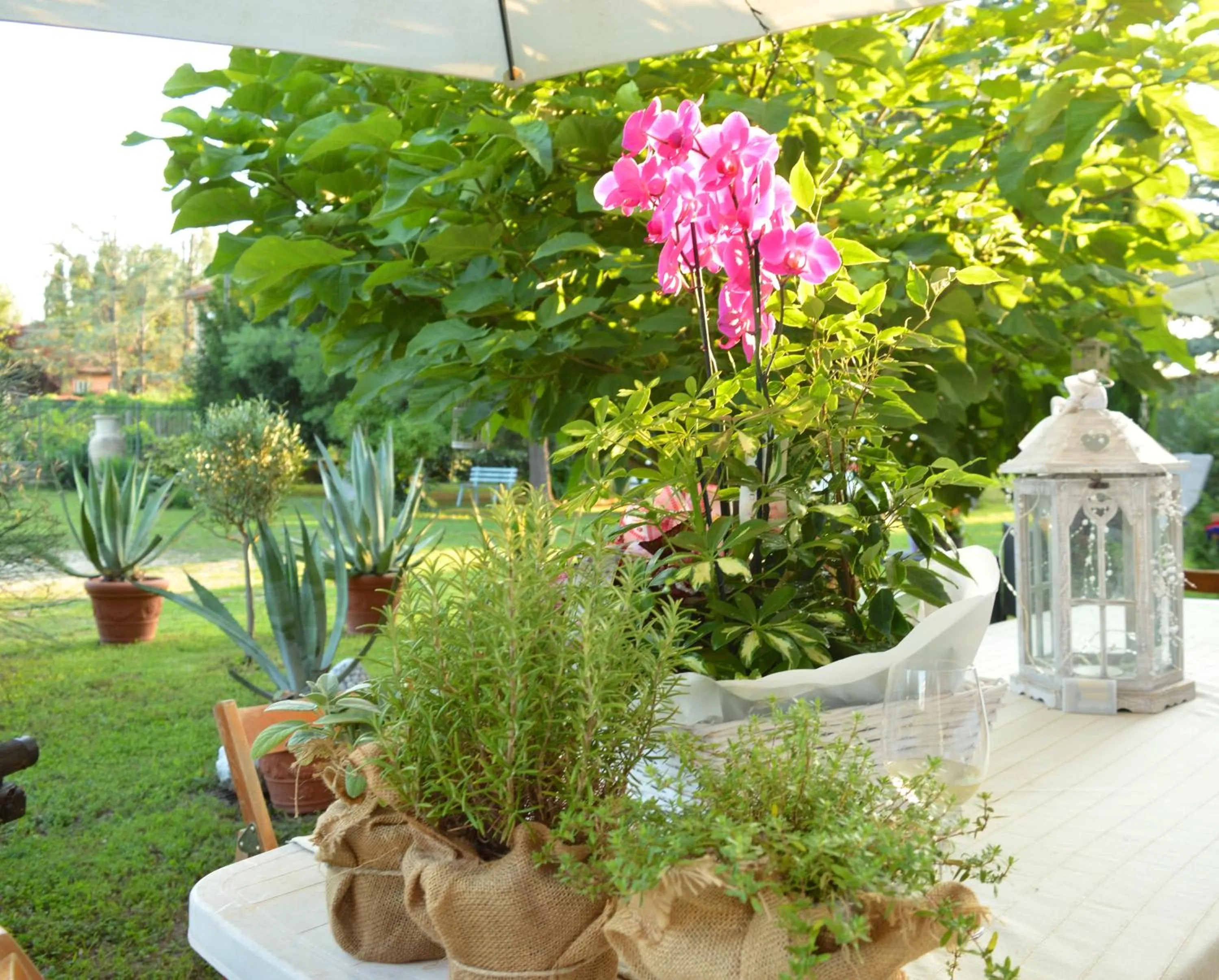 Patio in Bed & Tours Dimora di campagna