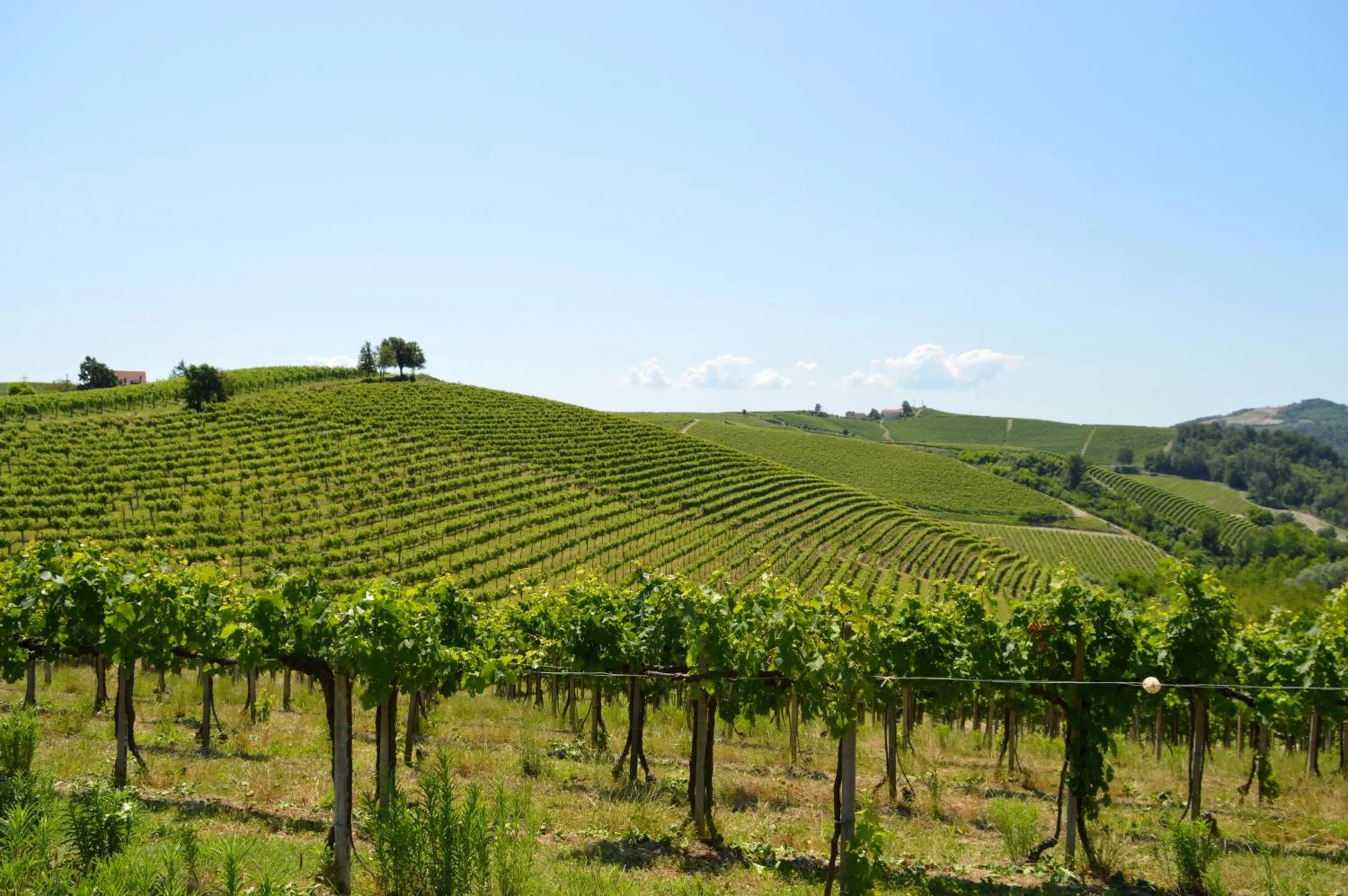 Natural landscape in Bed & Tours Dimora di campagna