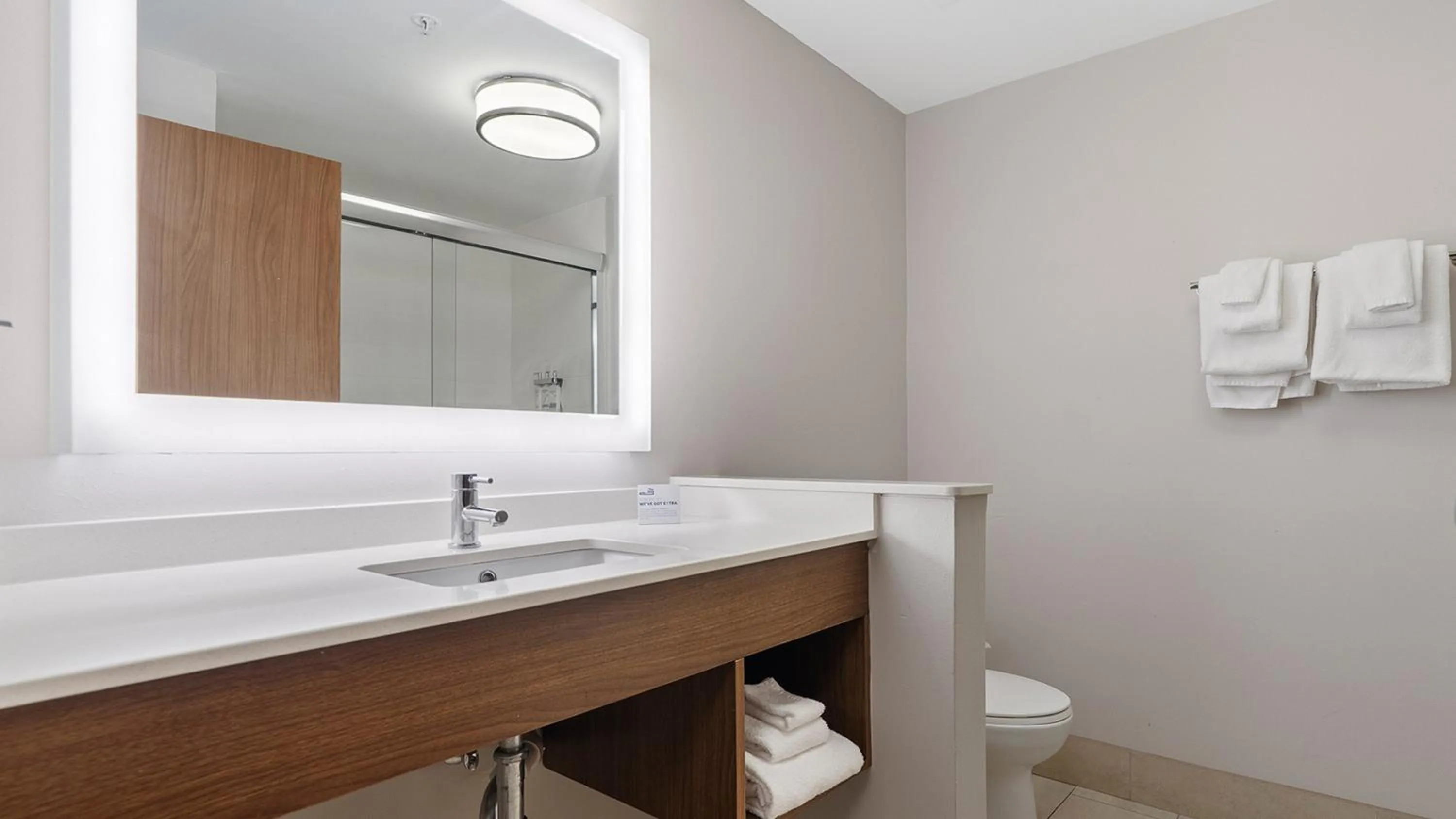 Bathroom in Holiday Inn Express & Suites Macon North by IHG