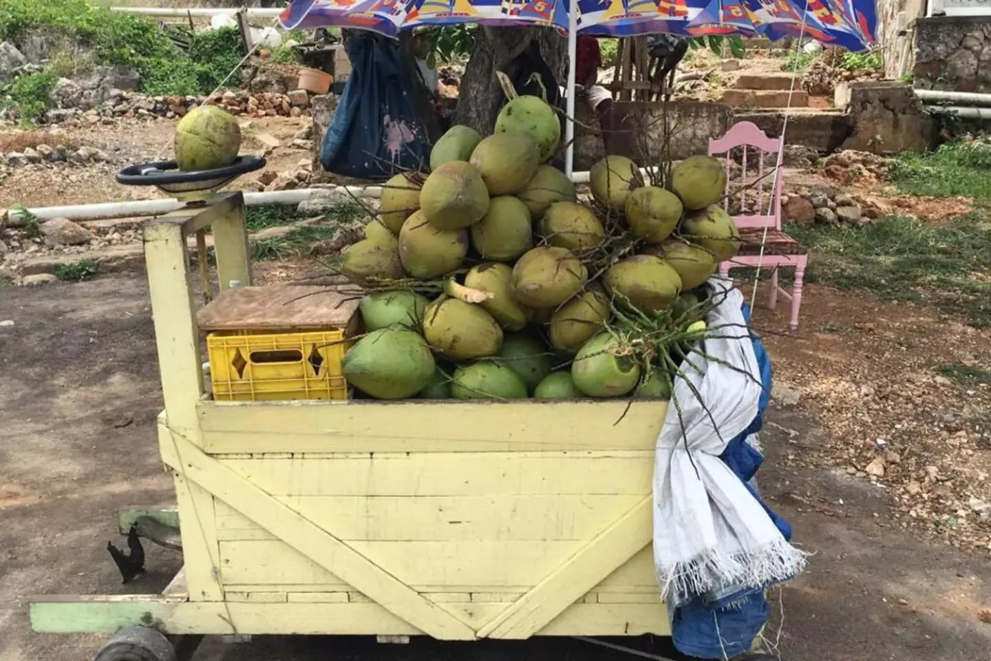 Property building in Luxury 2BR Home facing Beach w/Pool Montego Bay #4