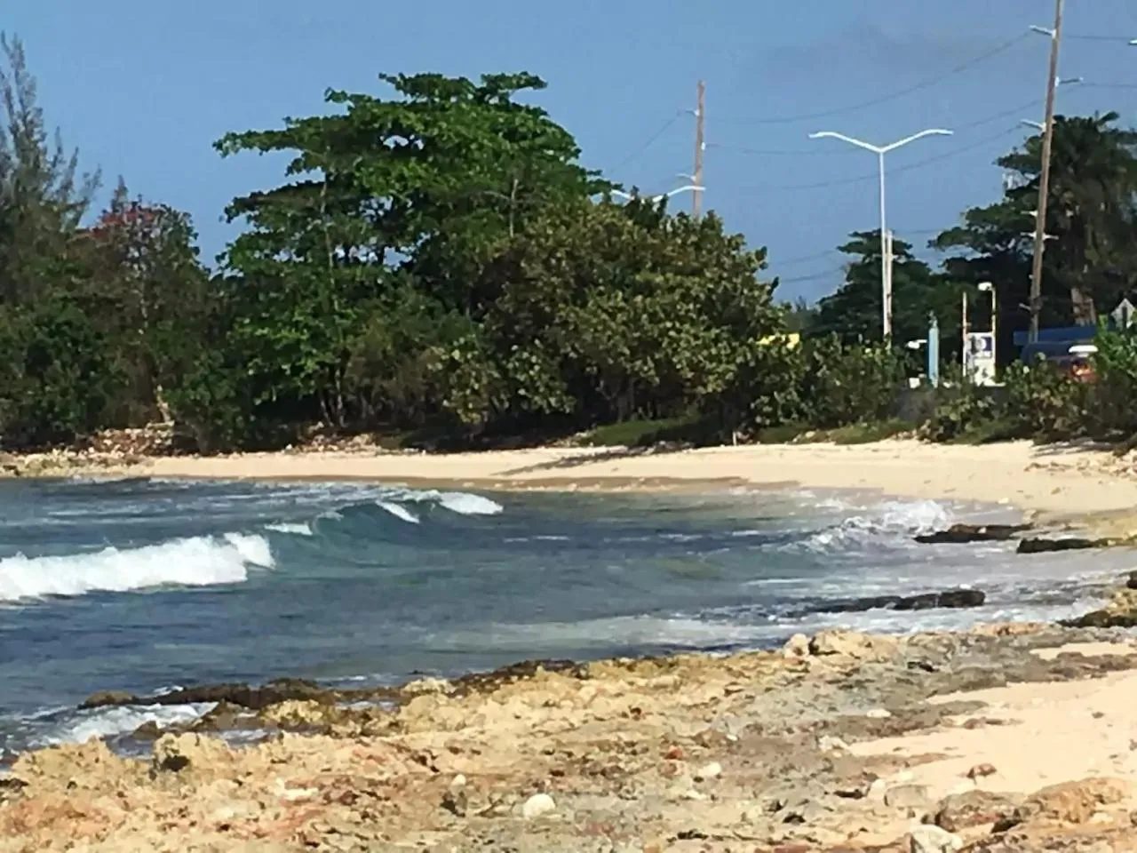 Natural landscape in Luxury 2BR Home facing Beach w/Pool Montego Bay #4