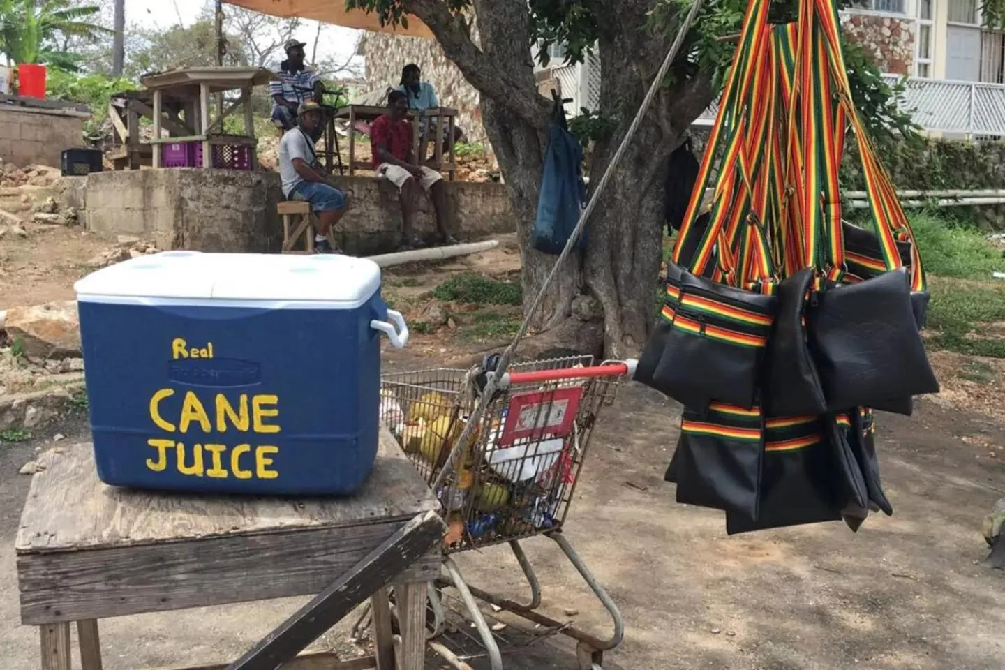 Area and facilities in Luxury 2BR Home facing Beach w/Pool Montego Bay #4