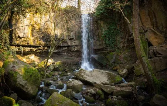 Nearby landmark in Residence Delta