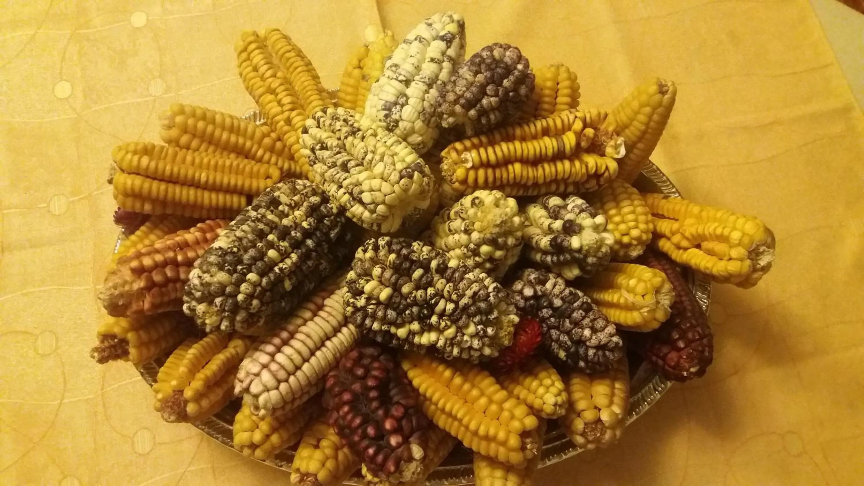 Decorative detail in Antawasi Hotel