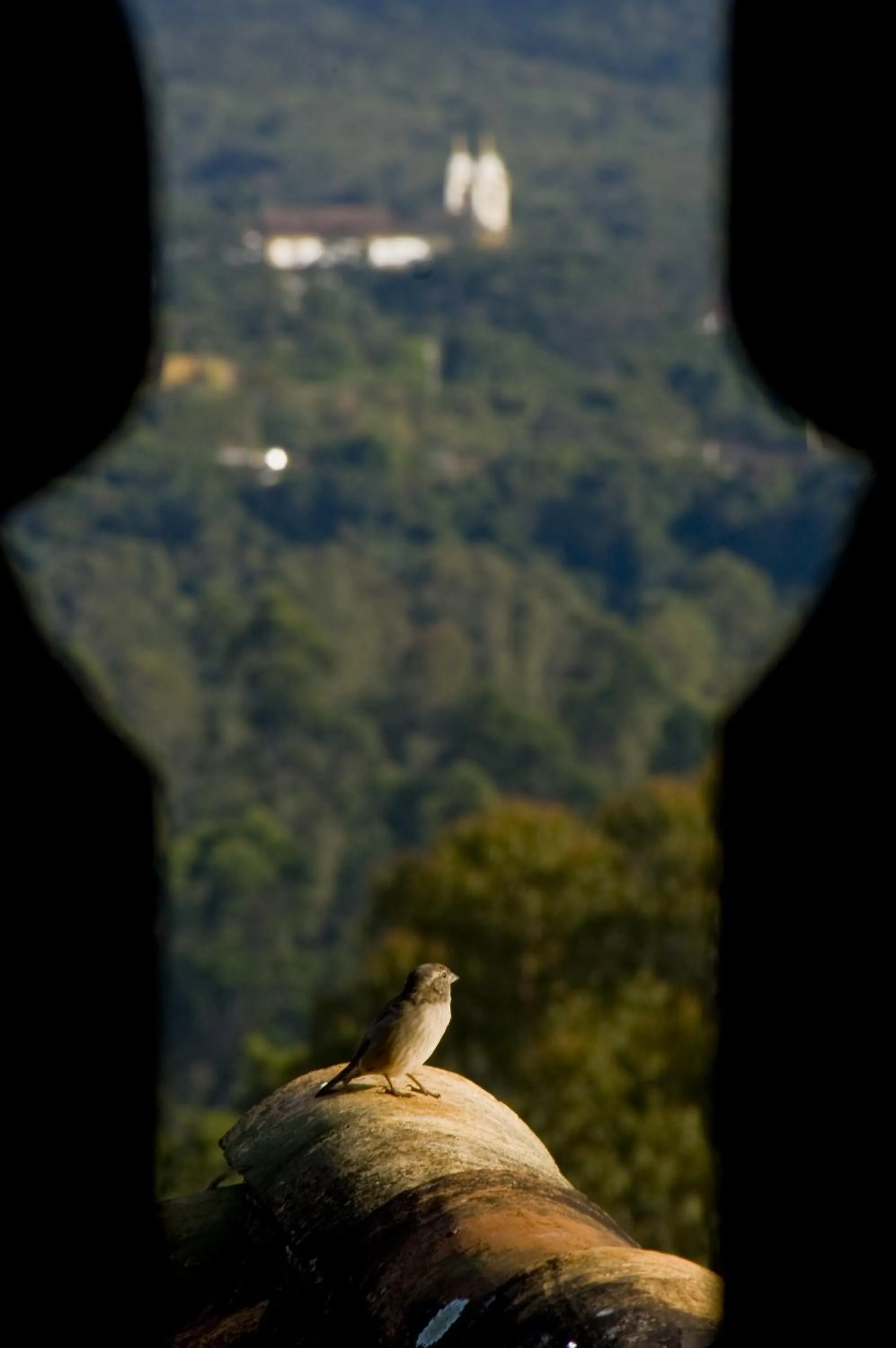 Day in Pouso da Torre