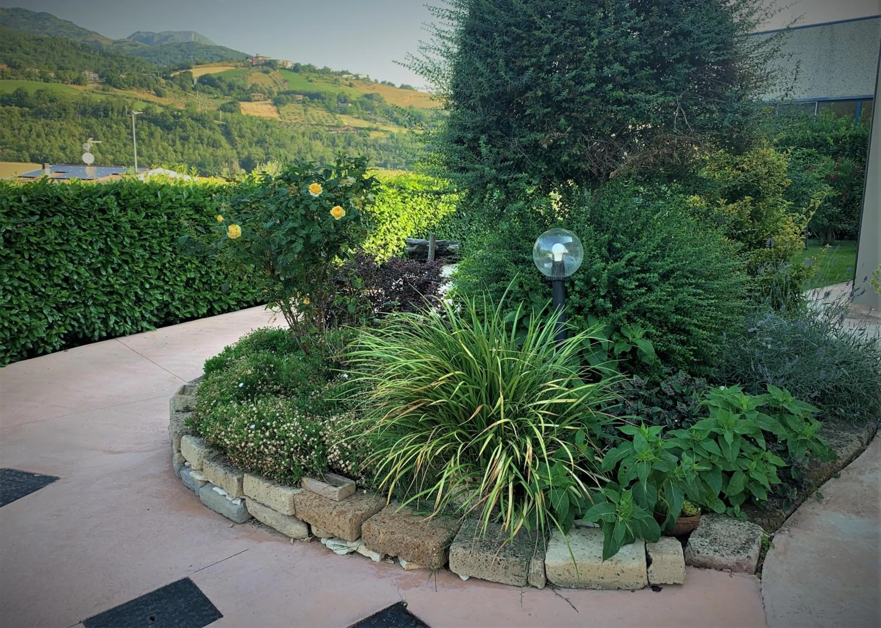 Garden in L' Ulivo Bed & Breakfast