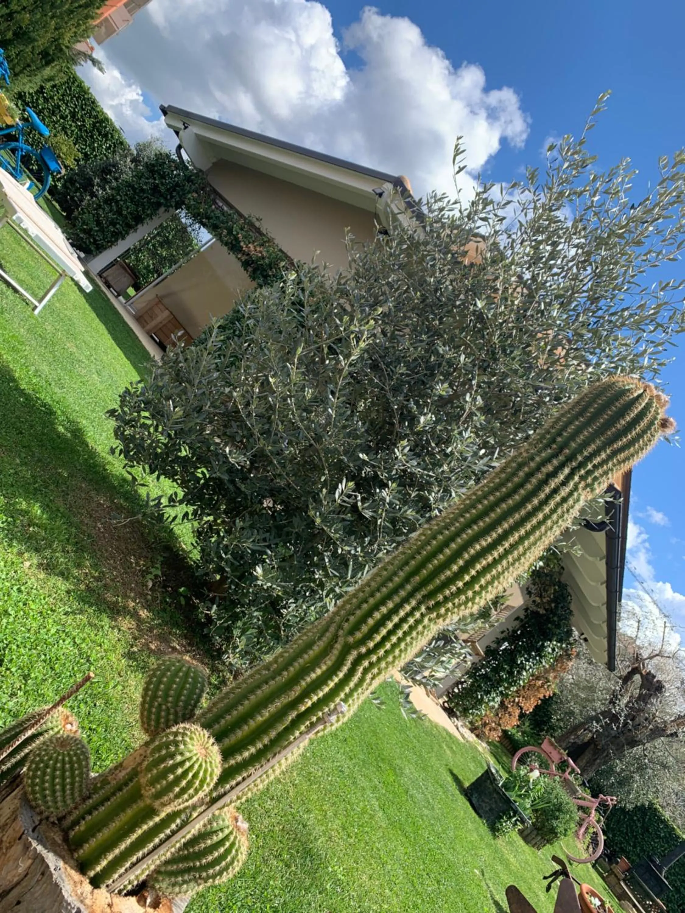 Property building in L' Ulivo Bed & Breakfast