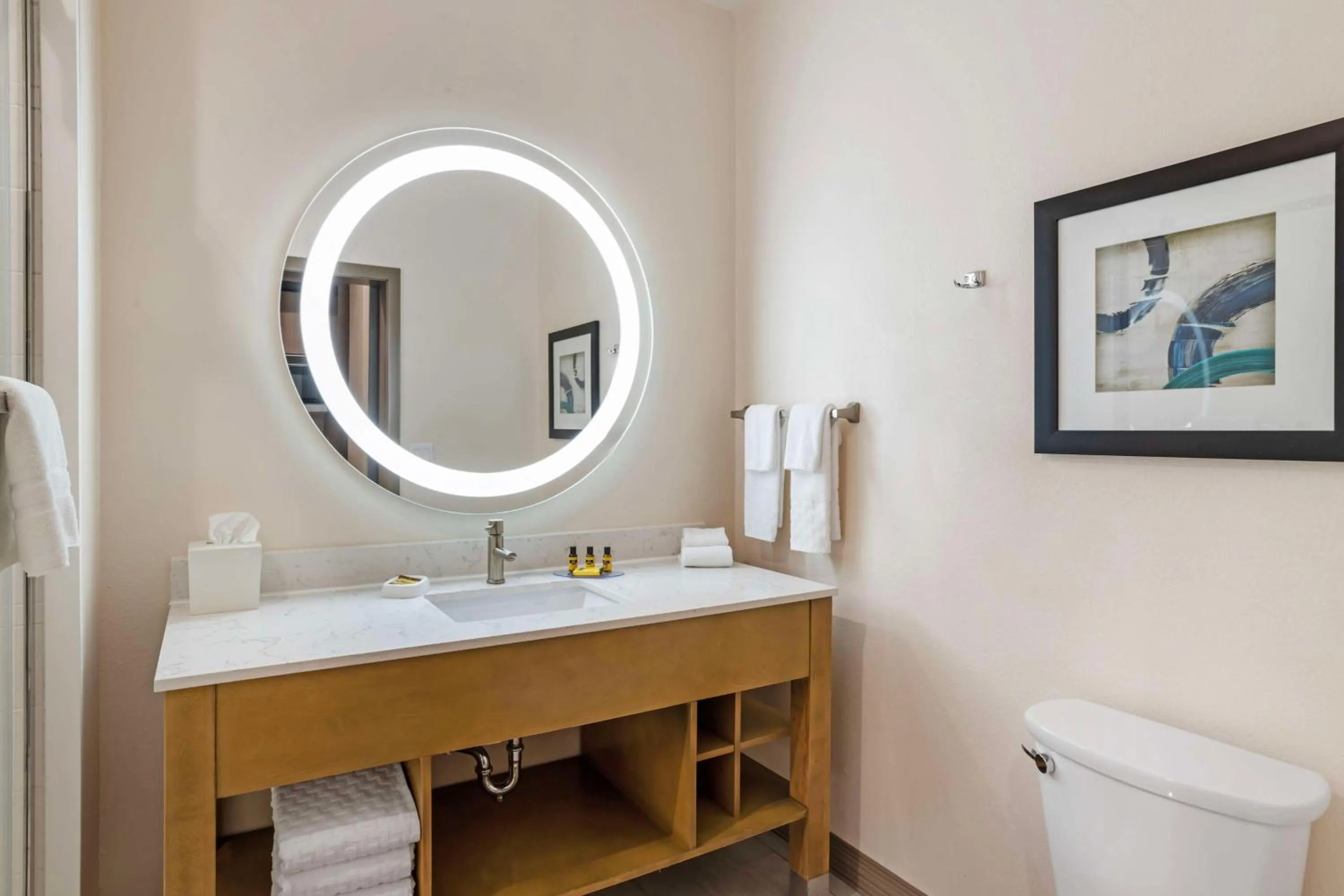 Bathroom in Best Western Executive Residency IH-37 Corpus Christi