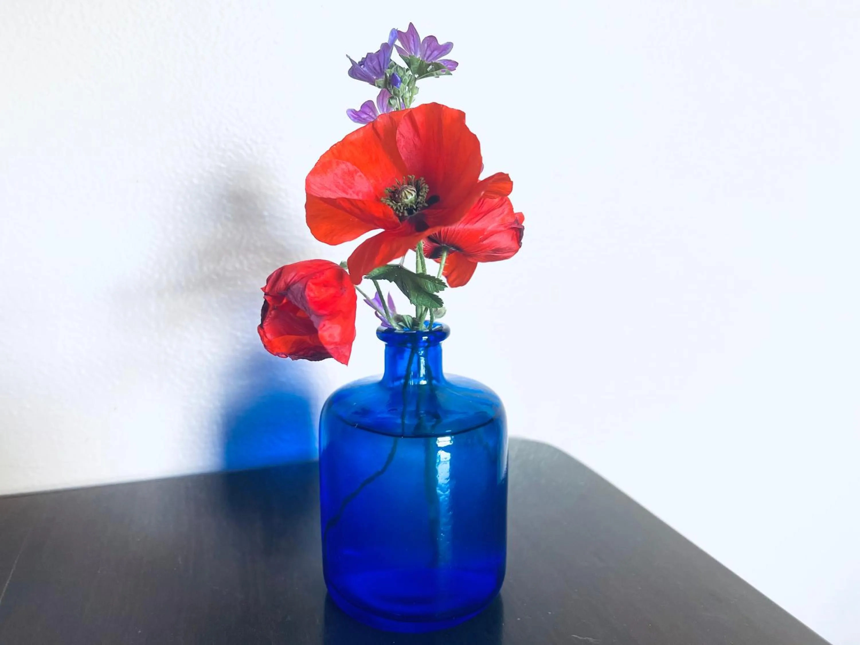 Decorative detail in Opera Deluxe