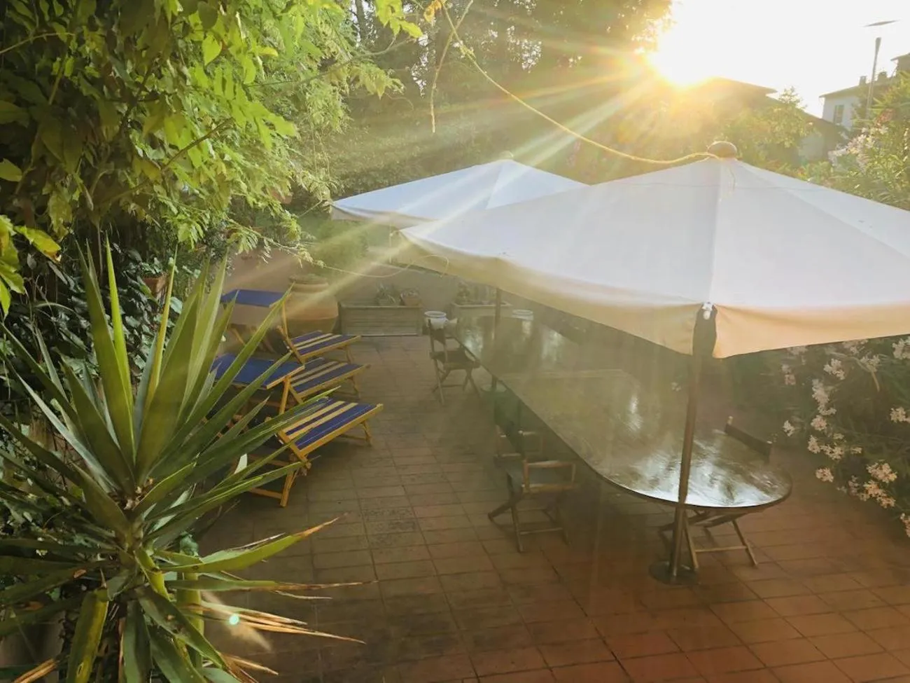 Property building in Opera Deluxe