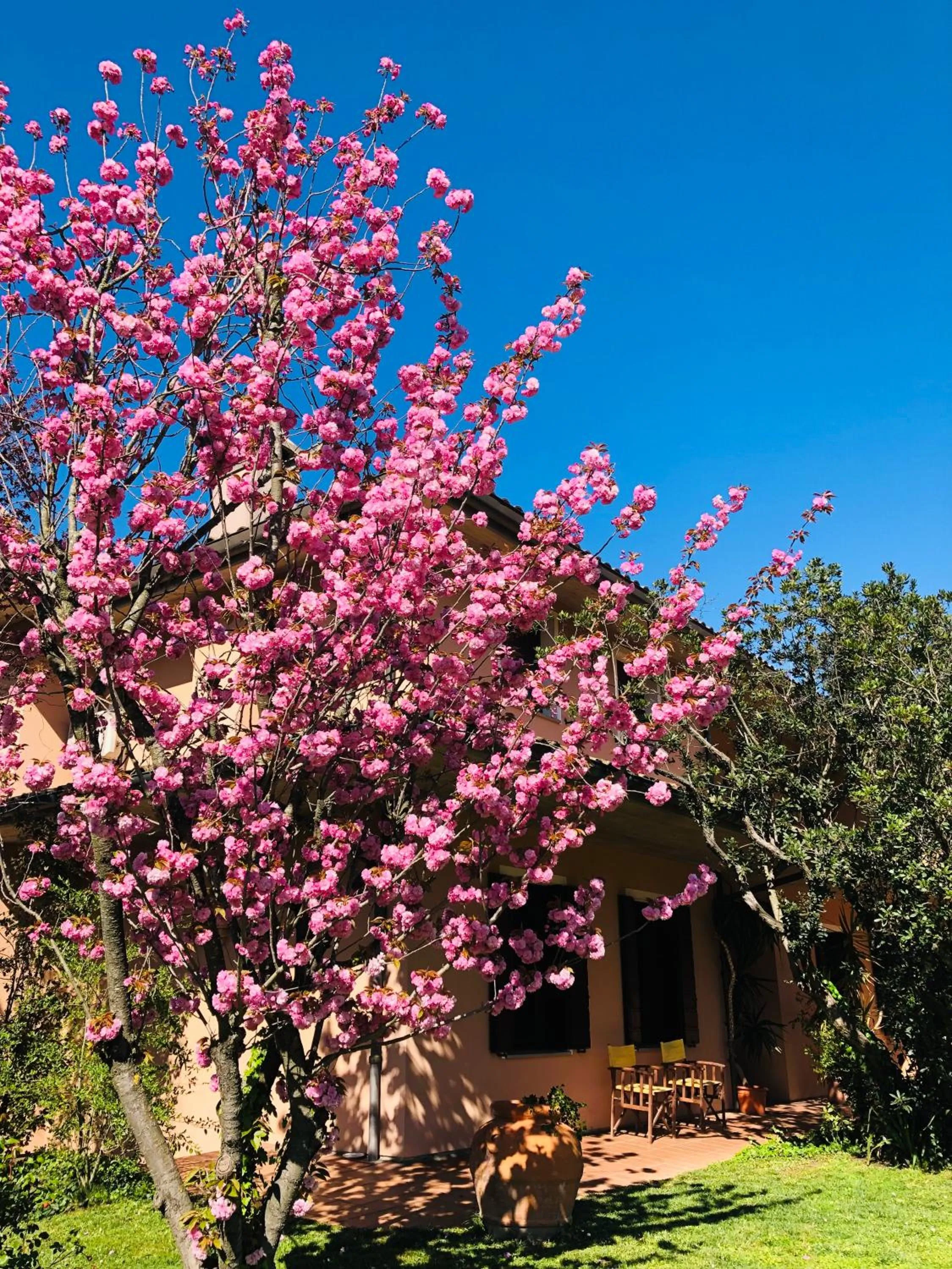 Property building in Opera Deluxe