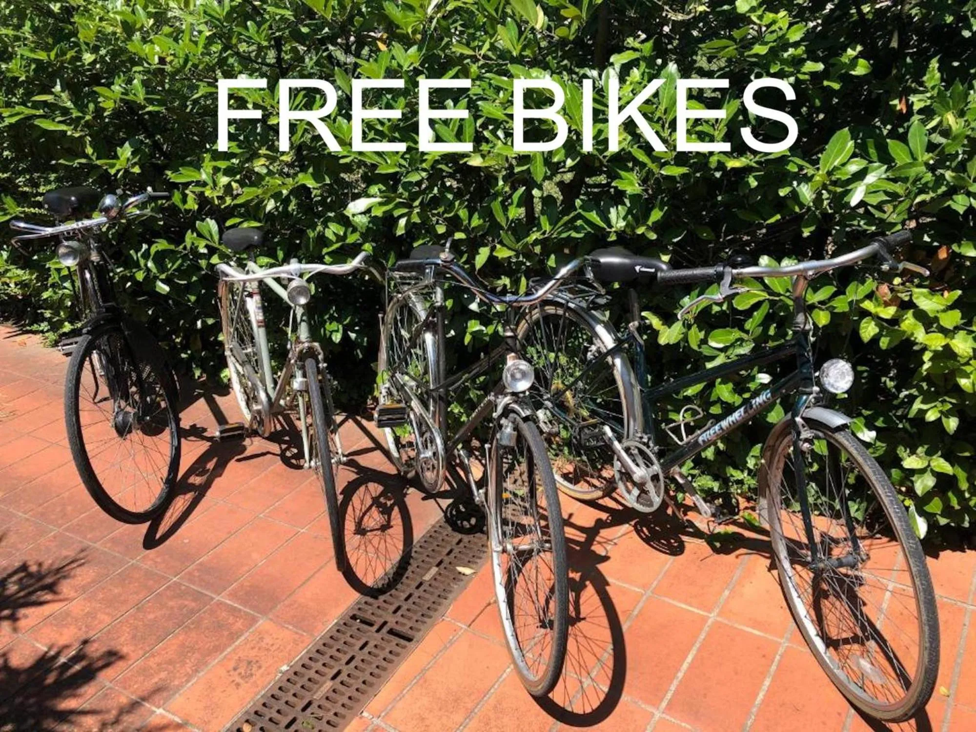 Garden in Opera Deluxe