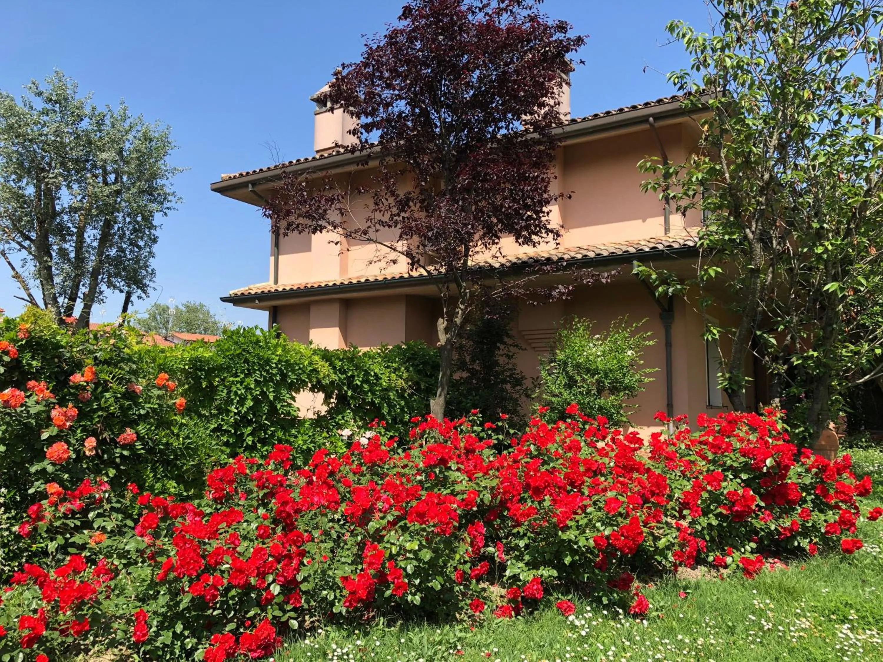 Property building in Opera Deluxe