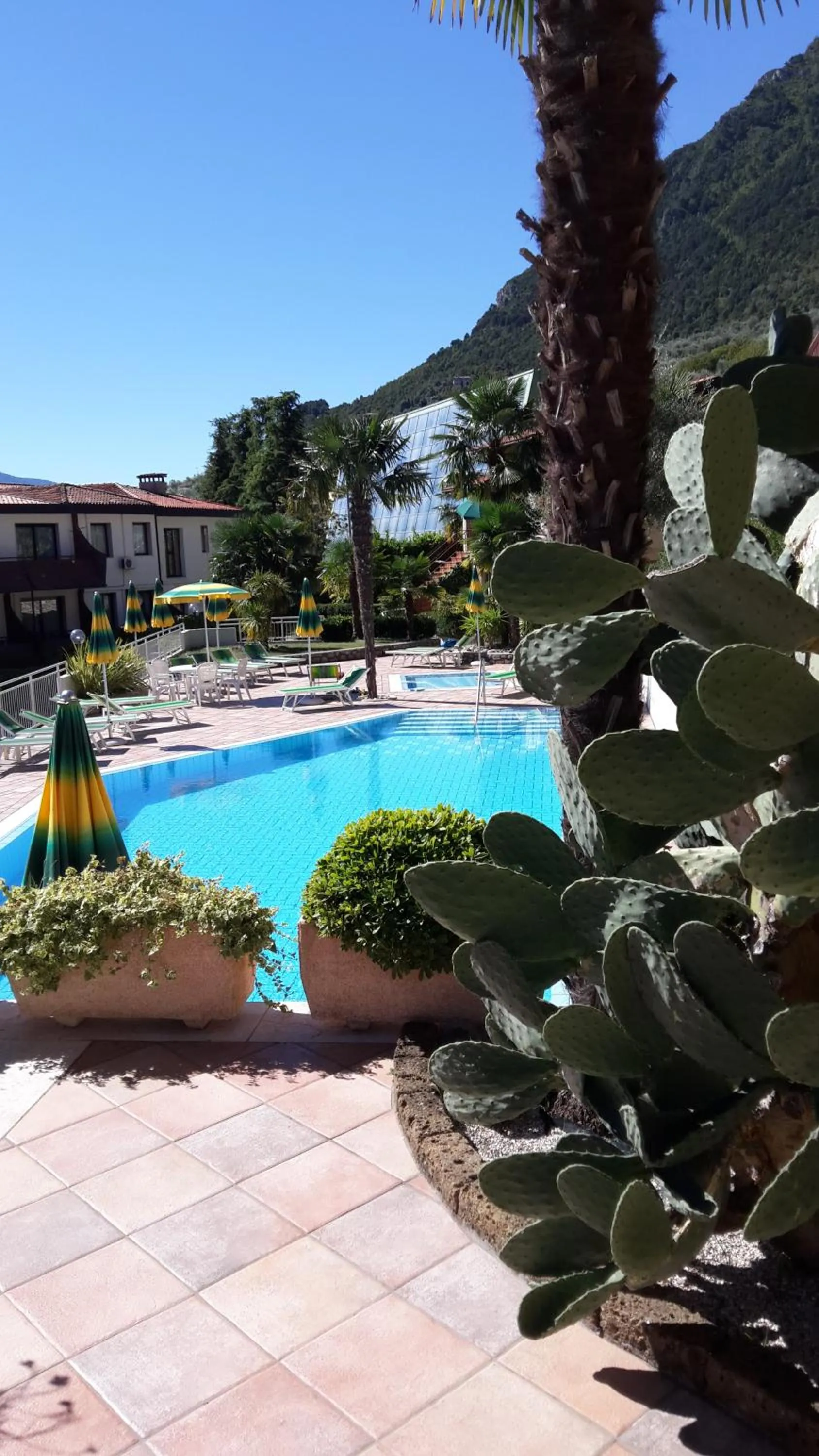 Swimming pool in Appartamenti Villa Clivia