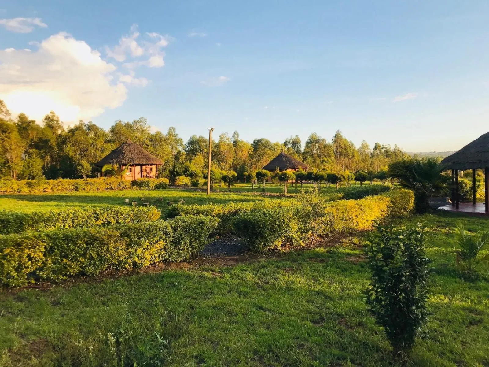 View (from property/room) in The Great Circle Lodge