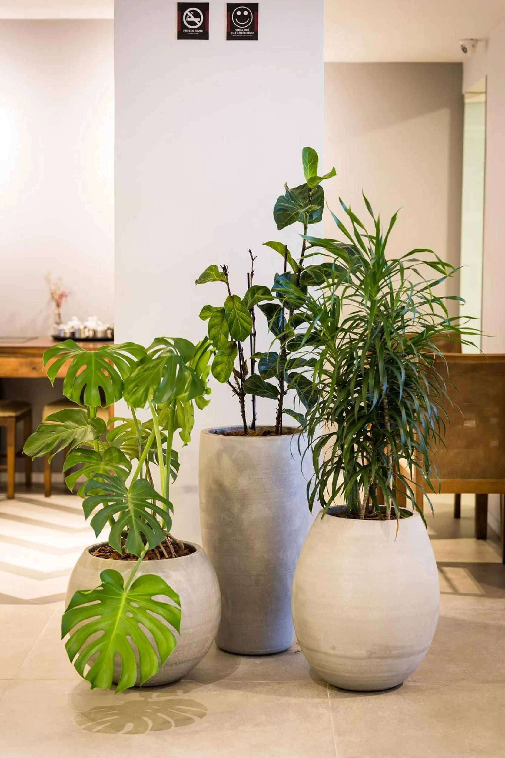 Lobby or reception in Tropikalya Gold Hotel