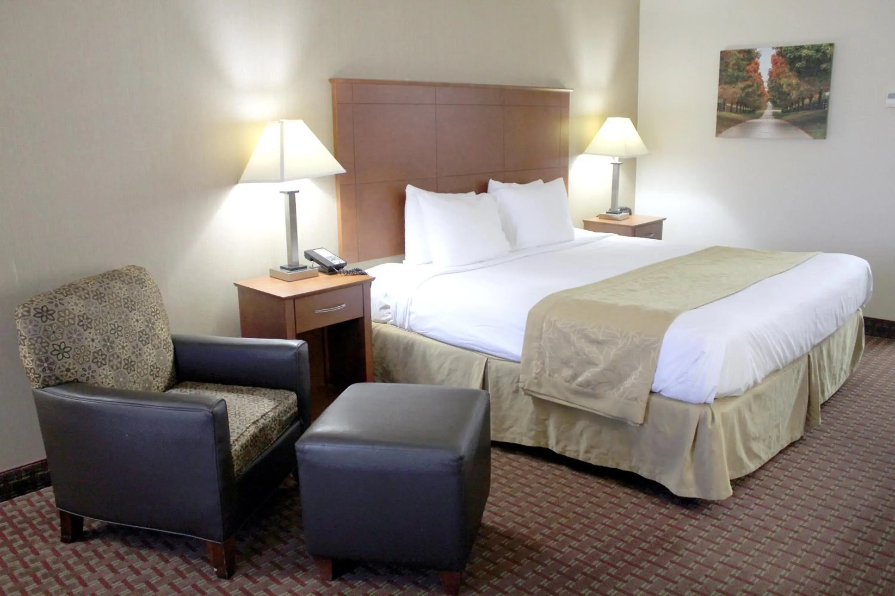 Property building, Bed in Baymont by Wyndham Franklin Property building, Bed in Baymont by Wyndham Franklin