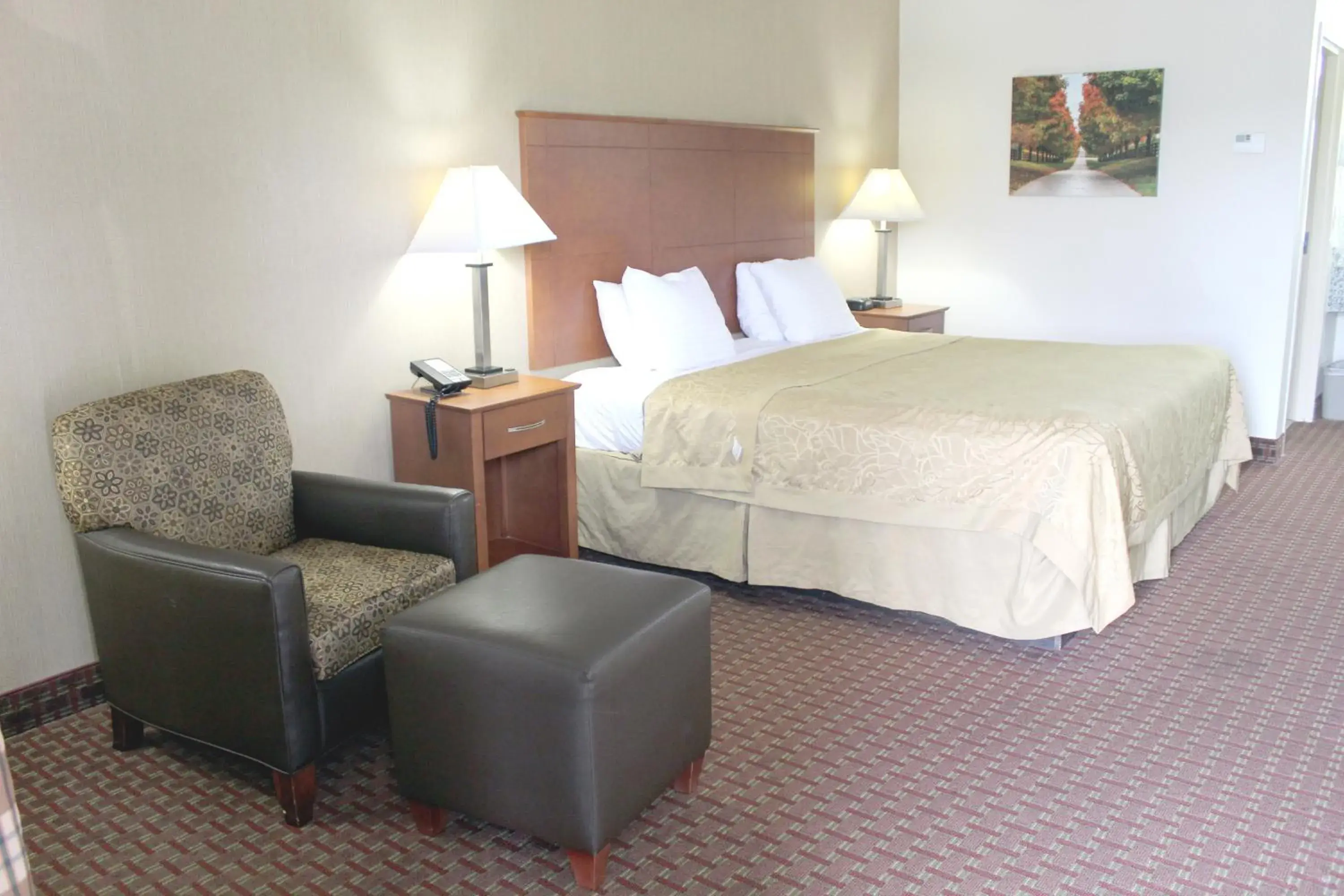 King Room - Disability Access/Non-Smoking in Baymont by Wyndham Franklin King Room - Disability Access/Non-Smoking in Baymont by Wyndham Franklin