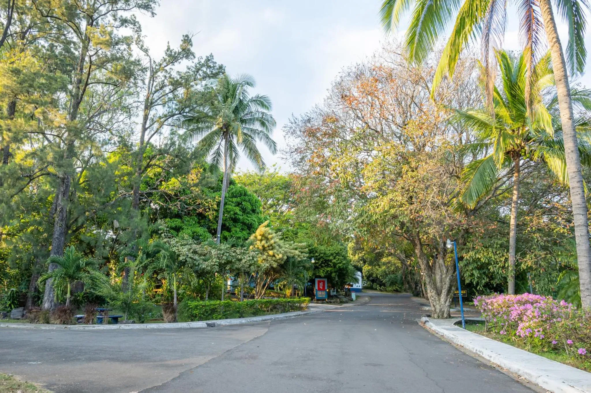 Day in Hotel Aeropuerto