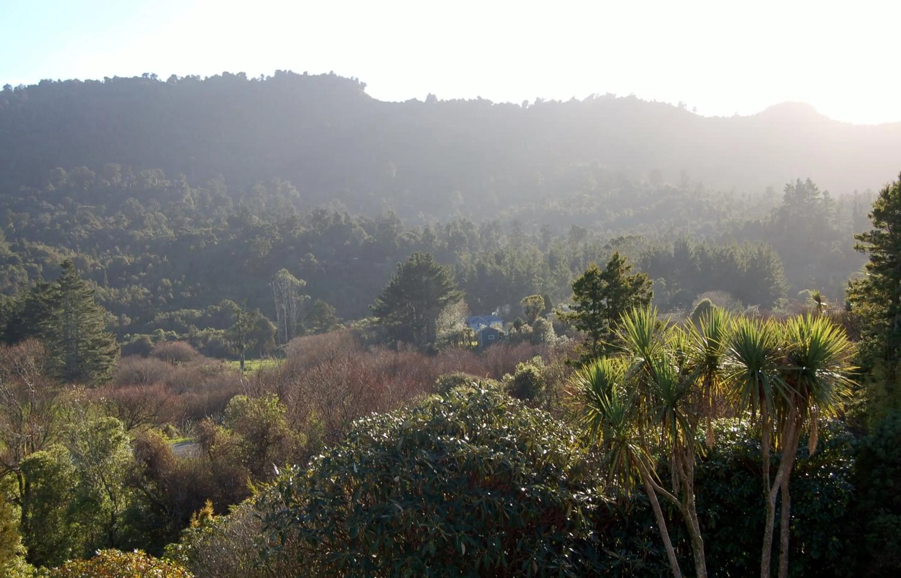 Natural landscape in Oak Lodge