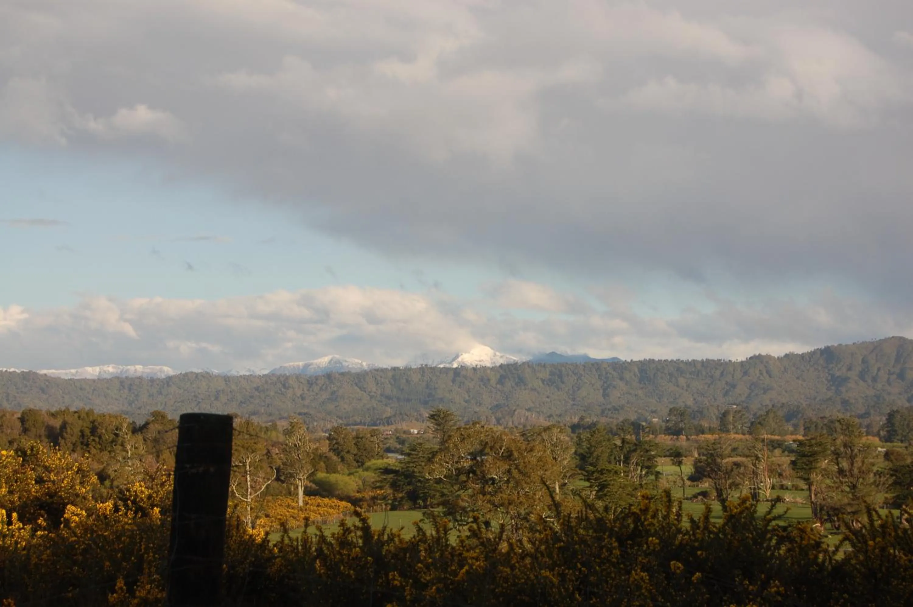 Natural landscape in Oak Lodge