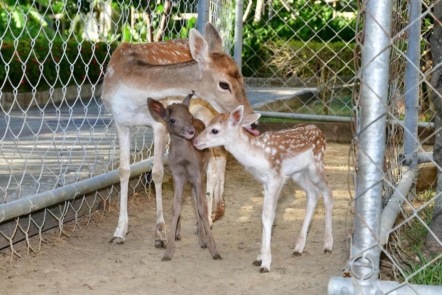 Fitness centre/facilities in Howard Beach Resort Kenting