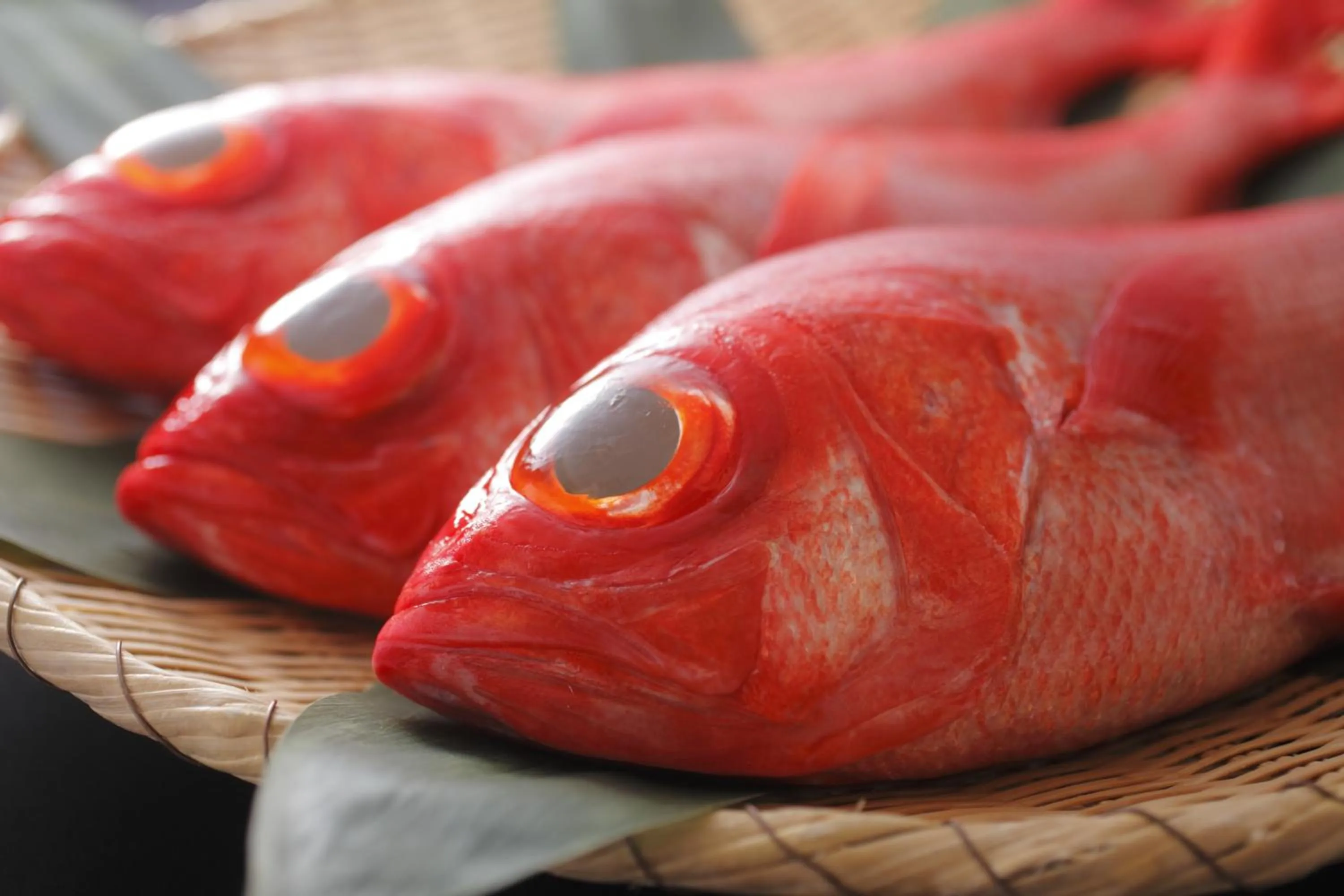Food close-up in Yuyado Ichibanchi