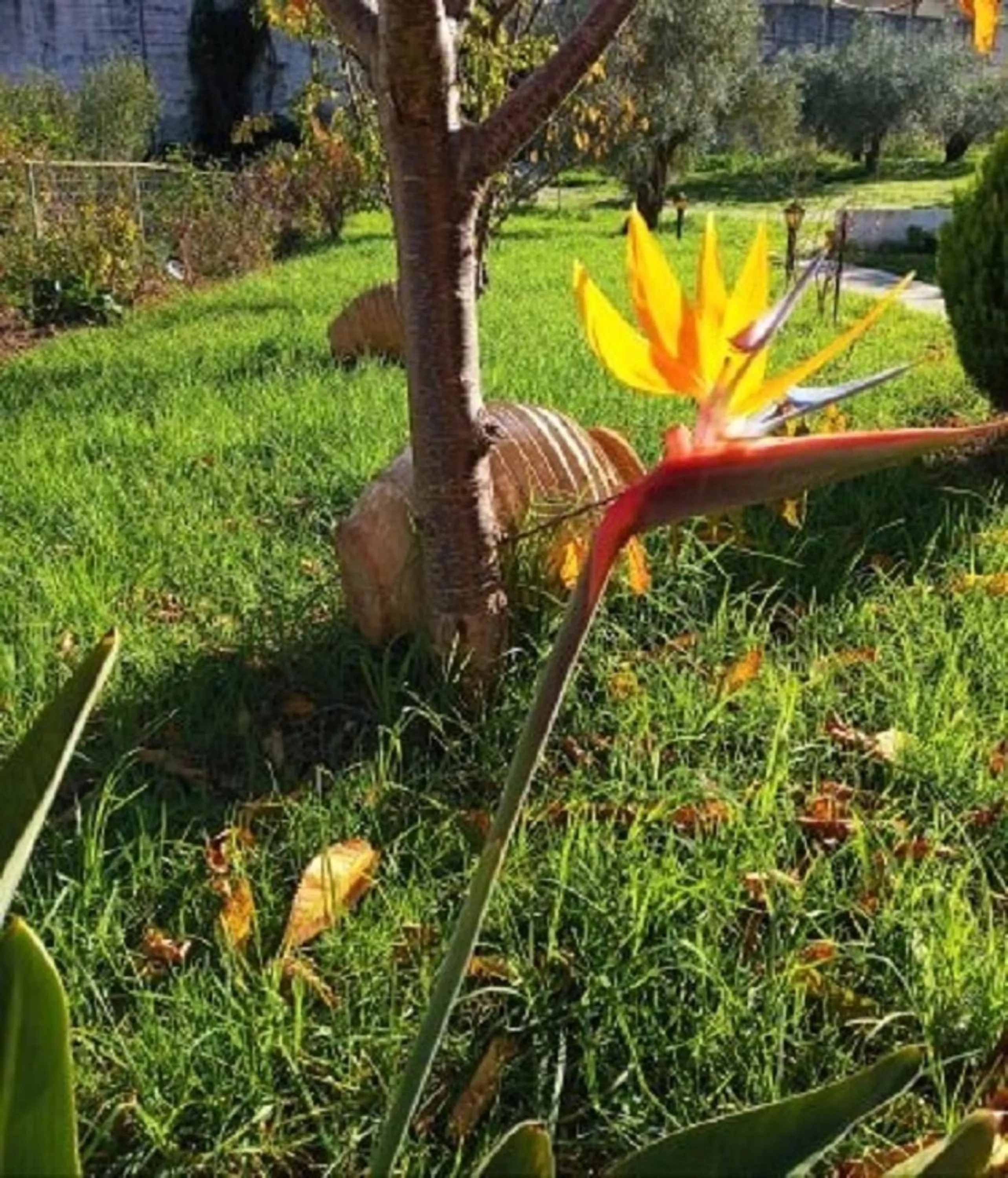 Winter in Vergina Star Hotel